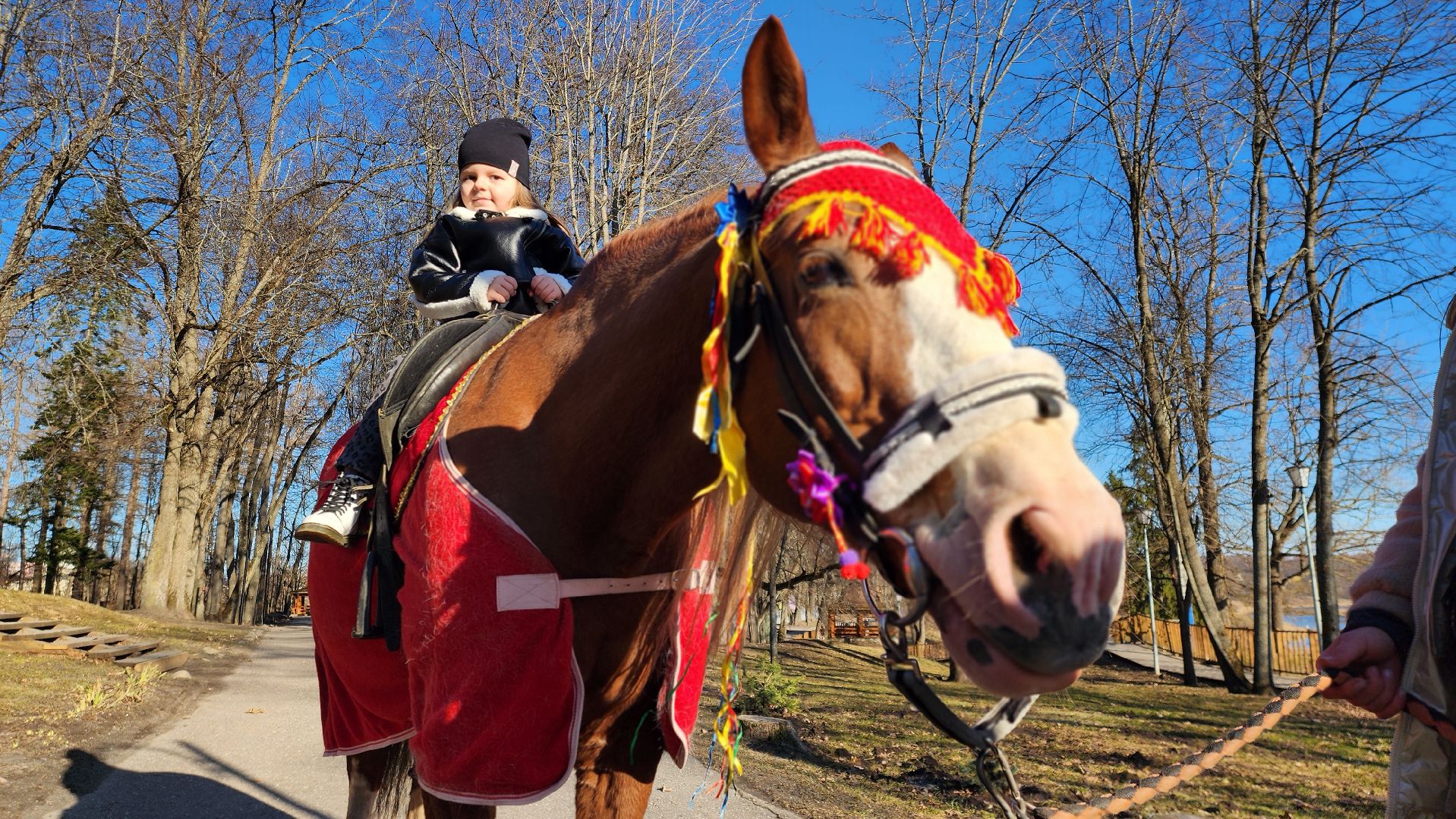 Руза, парк городок, Там на неведомых дорожках, Фестиваль сказок, парки подмосковья,