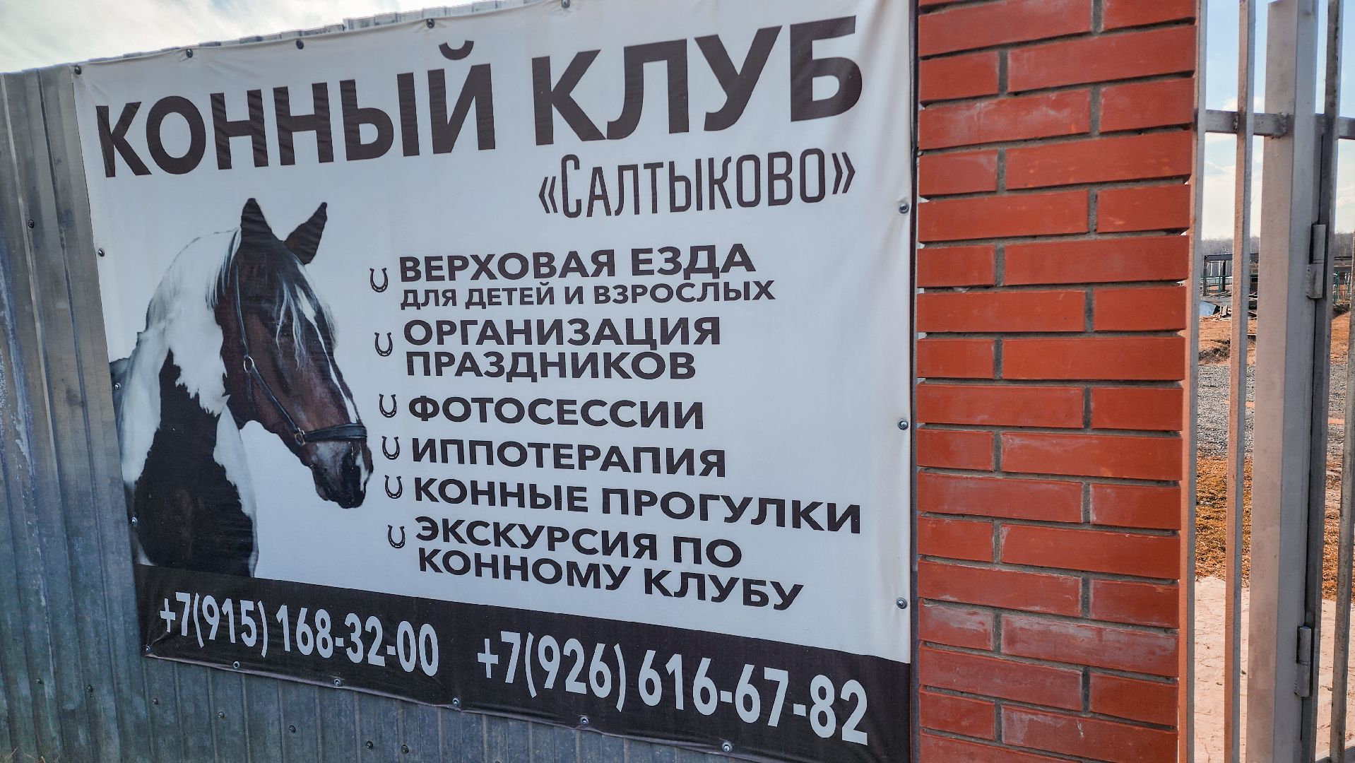 Раменский округ, Конный клуб, Дети,катание на лошадях,