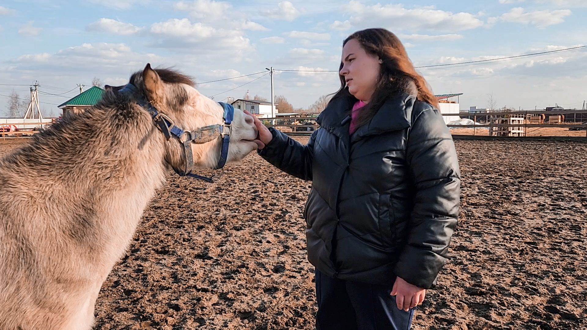 Раменский округ, Конный клуб, Дети,катание на лошадях,