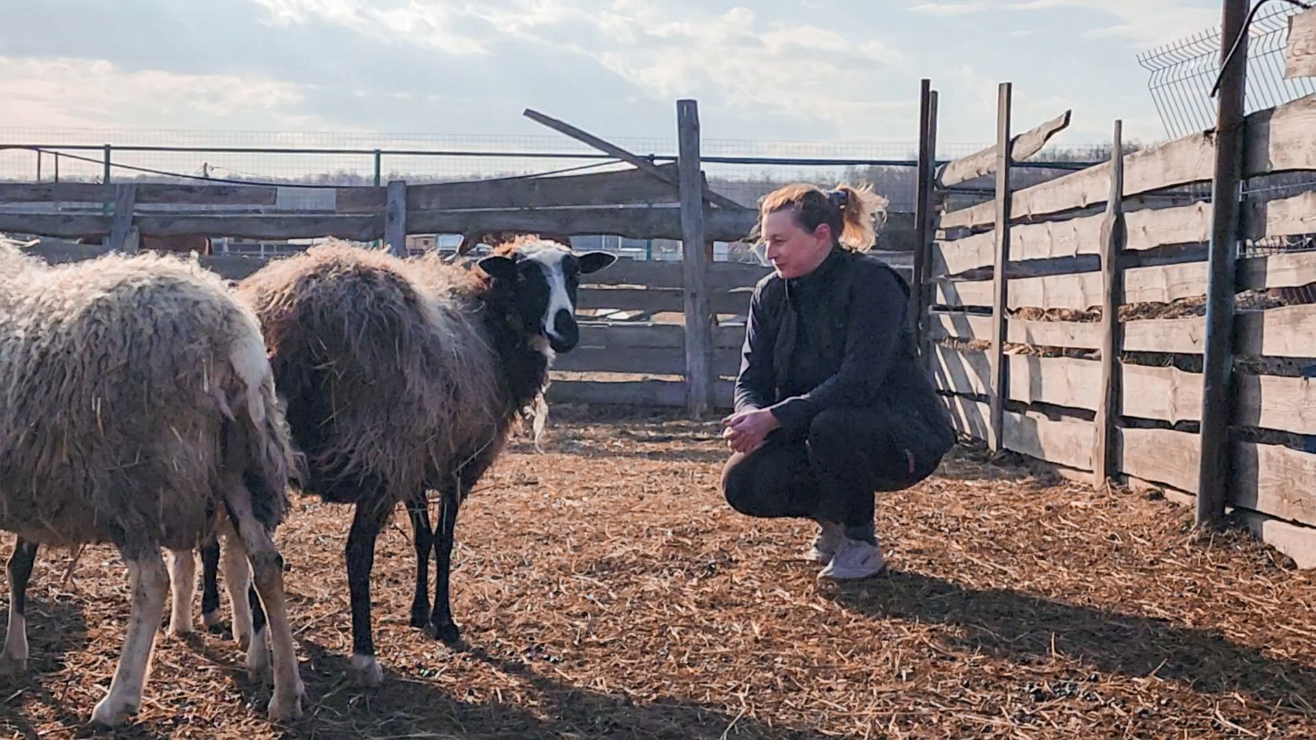 Раменский округ, Конный клуб, Дети,катание на лошадях,