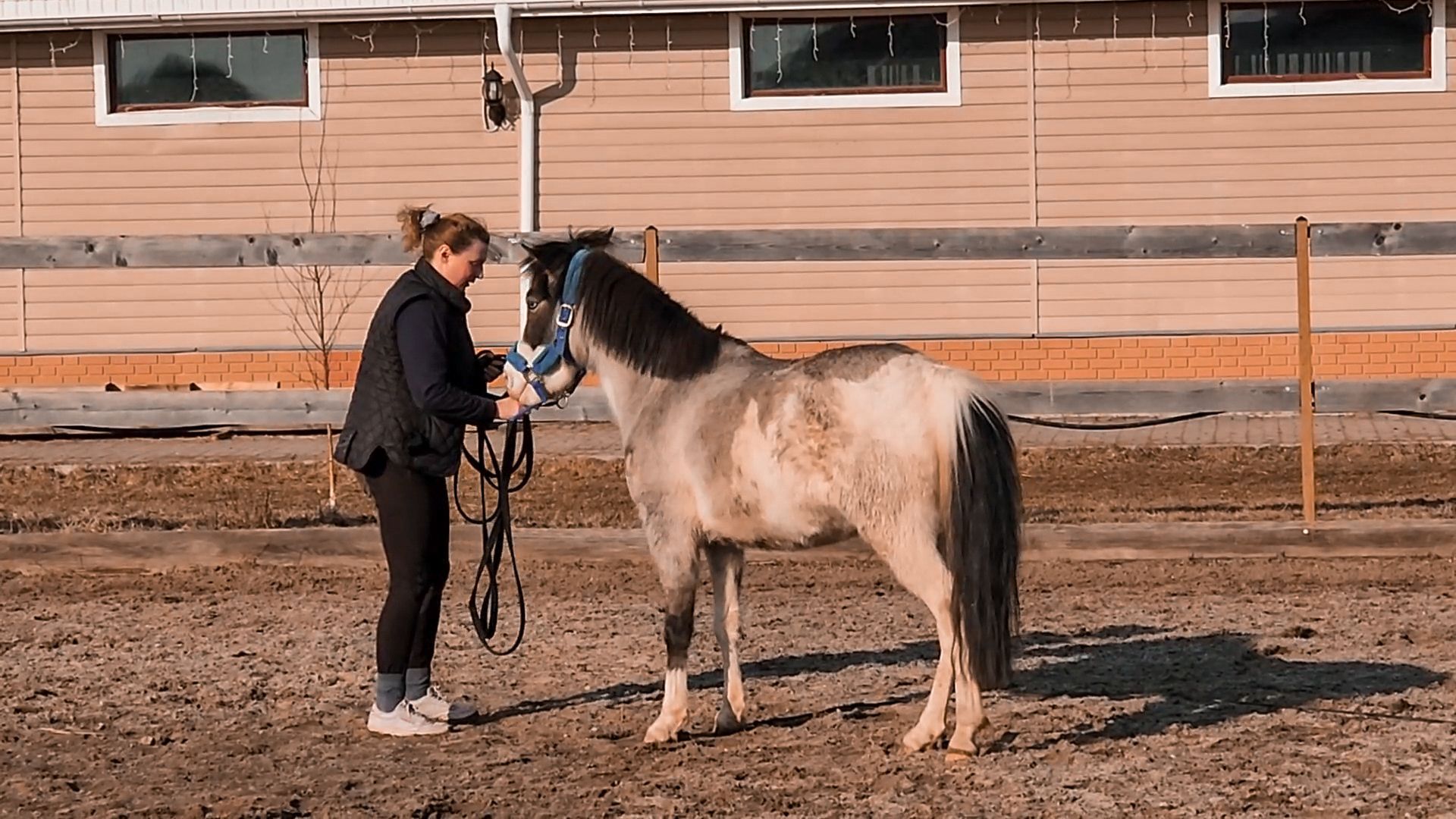Раменский округ, Конный клуб, Дети,катание на лошадях,