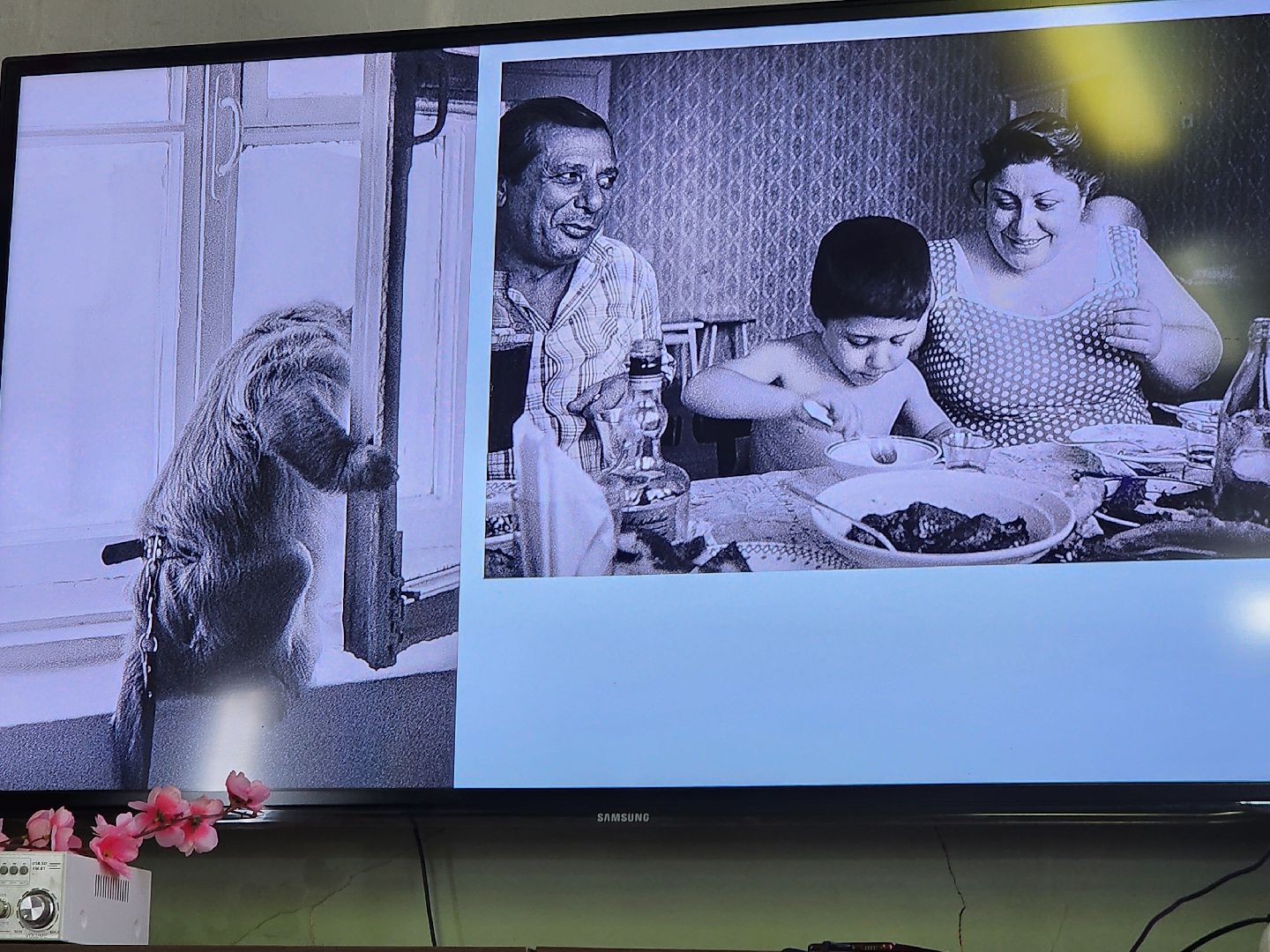 фрязино, лекция в библиотеке, фотографы,