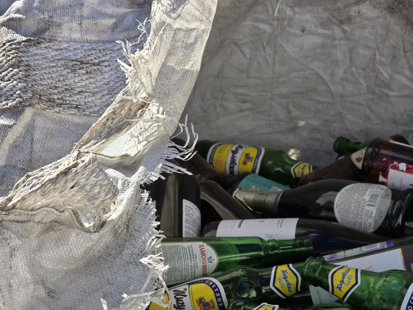 Коломна, экологическая акция, раздельный сбор отходов, сбор вторсырья,