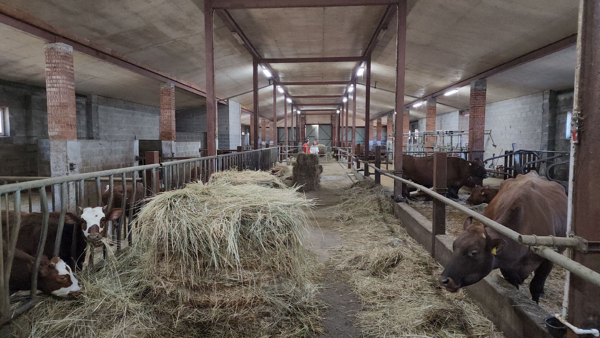 ступино, сельское хозяйство, грант, экономика,