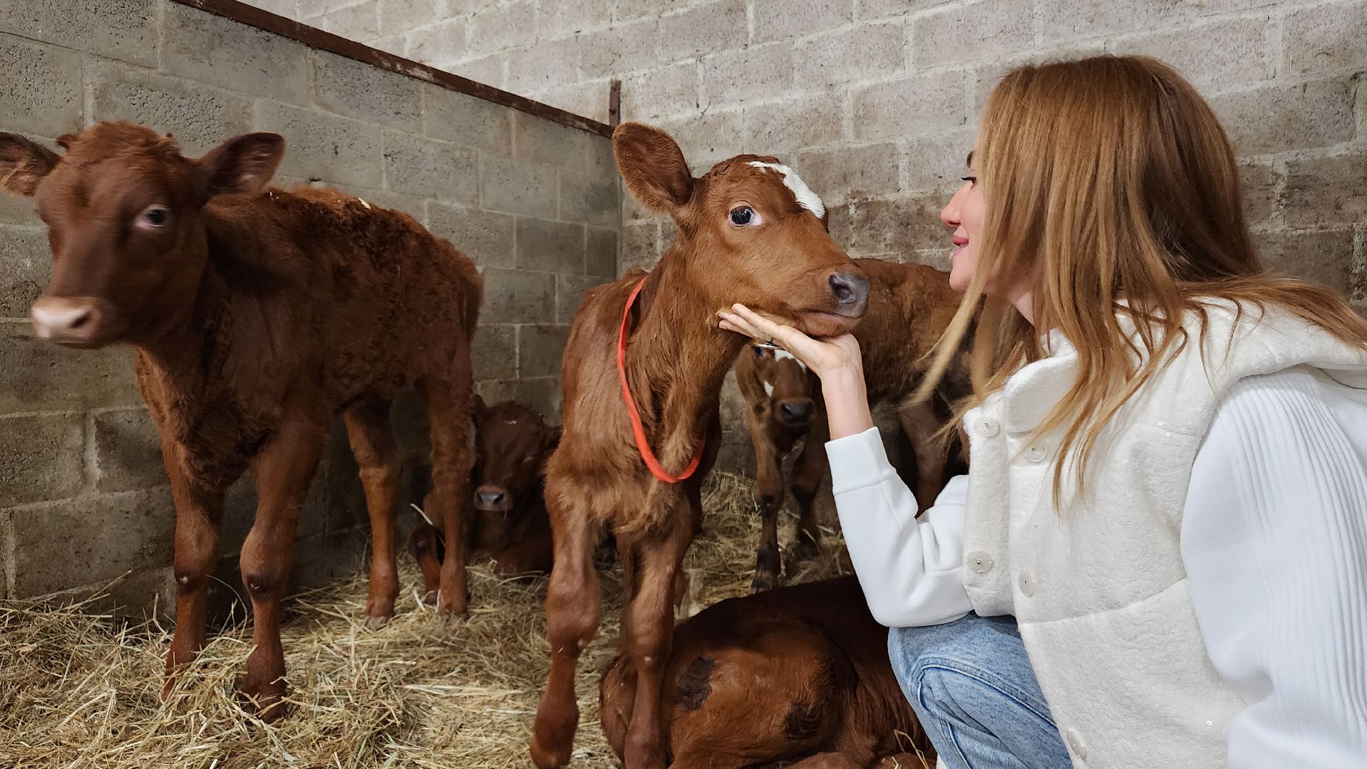 ступино, сельское хозяйство, грант, экономика,