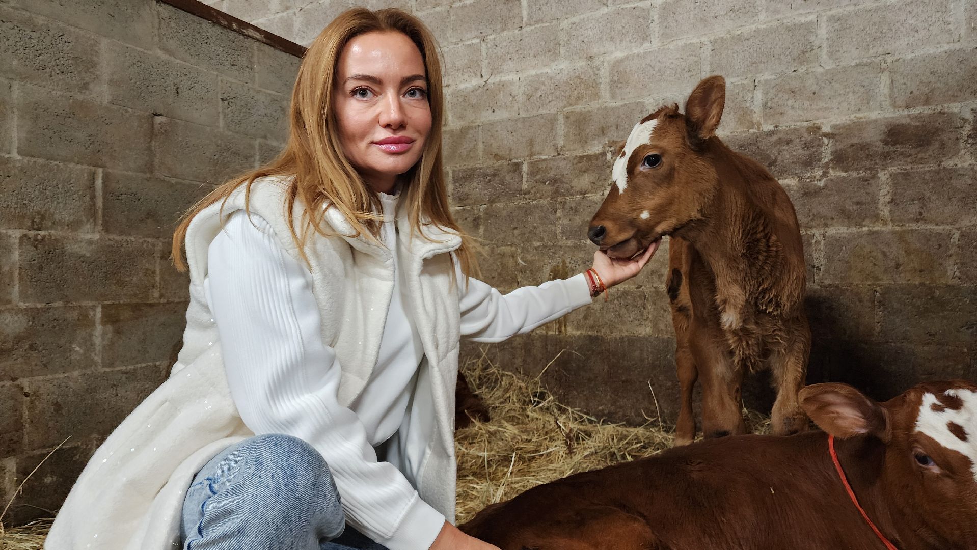 ступино, сельское хозяйство, грант, экономика,