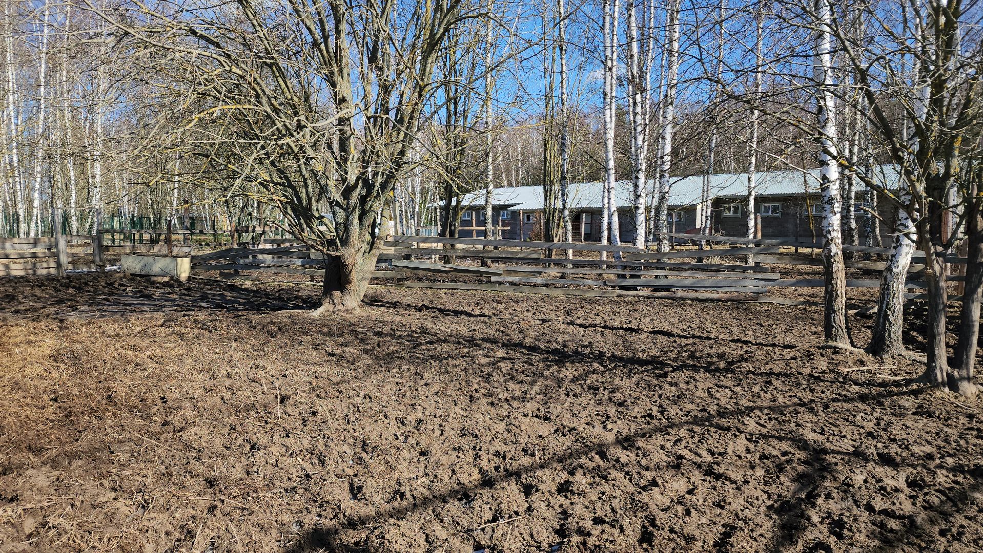 ступино, сельское хозяйство, грант, экономика,