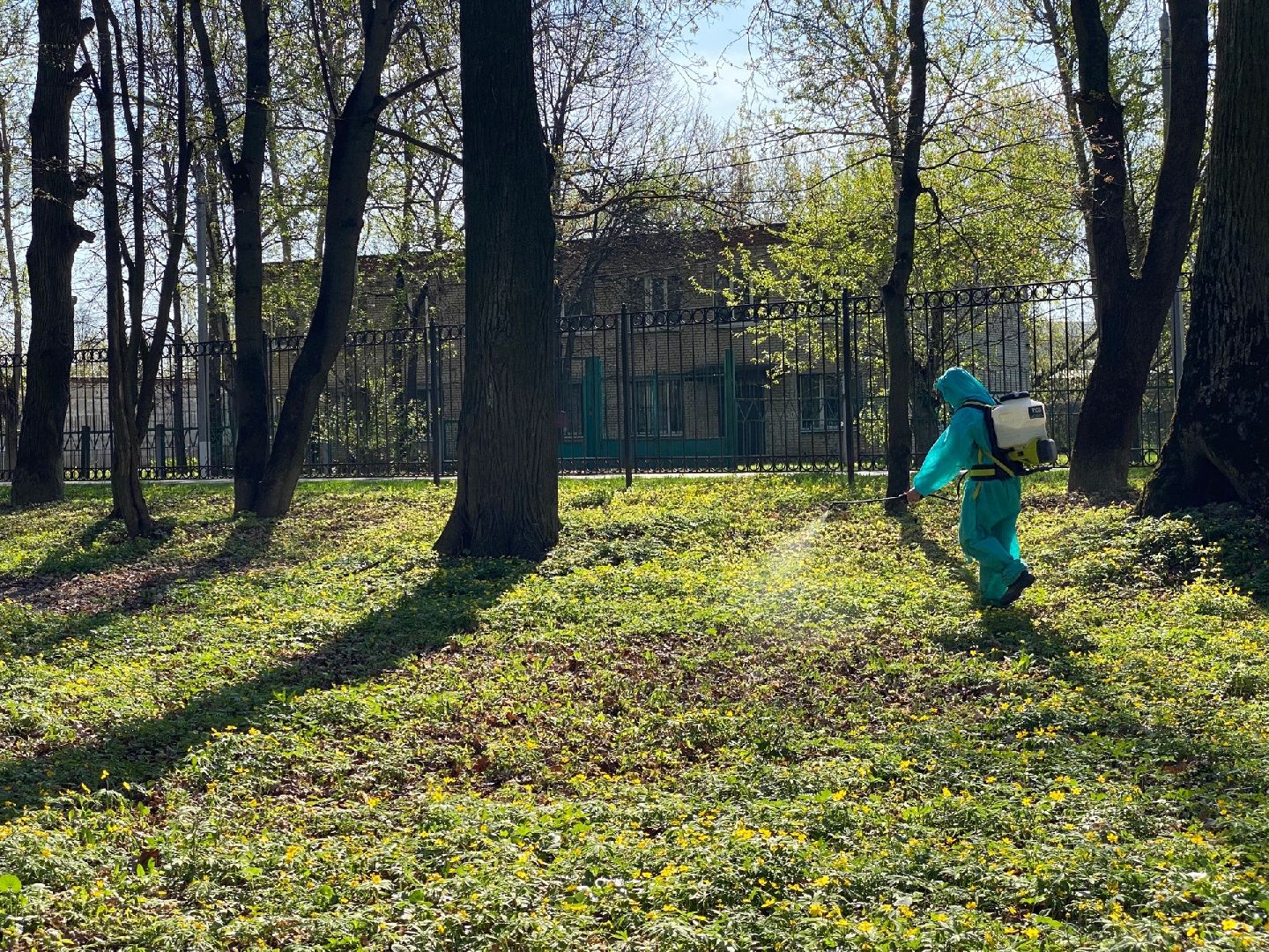 Домодедово, профилактика, клещи, клещевой энцефалит, благоустройство, дезинфекция