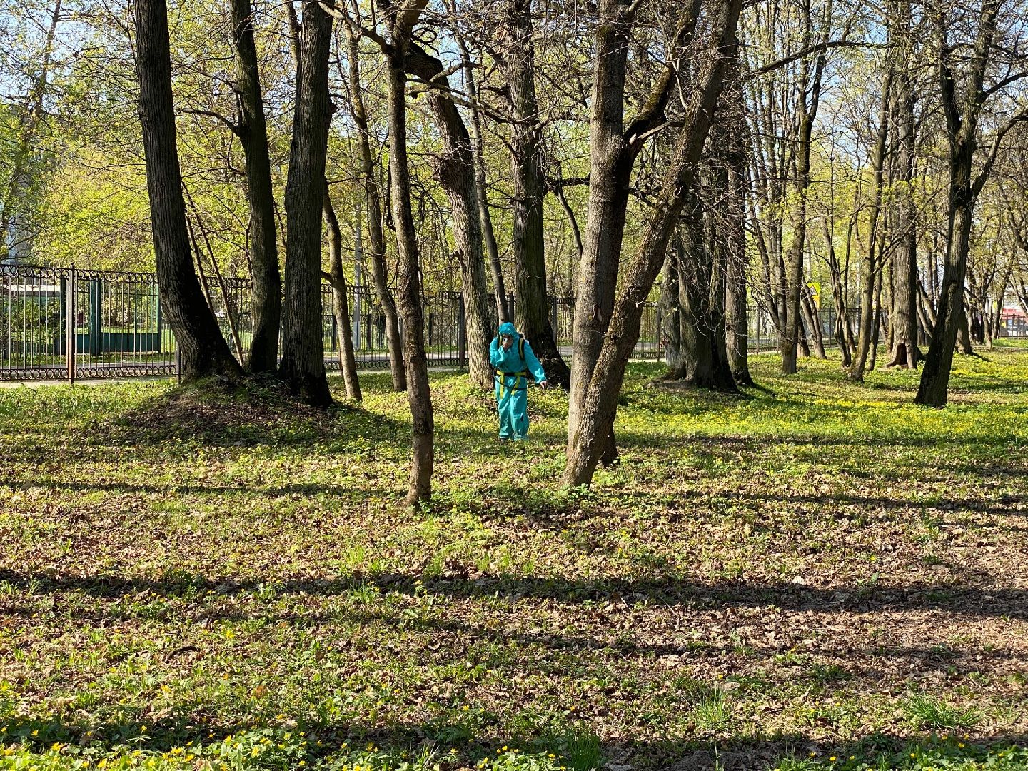 Домодедово, профилактика, клещи, клещевой энцефалит, благоустройство, дезинфекция