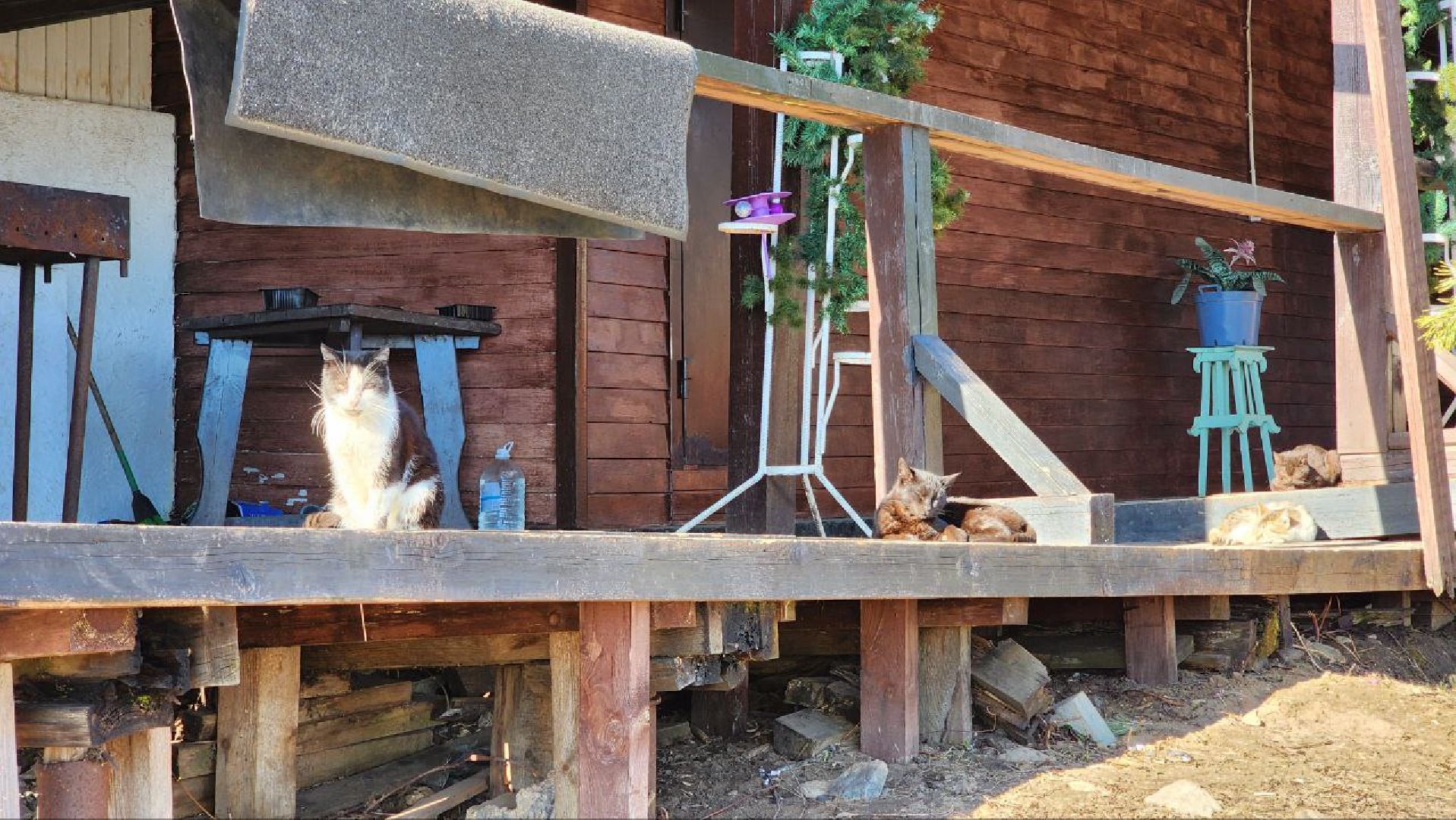 Дмитров, Туризм, Минспорта, Клуб Тягачева,