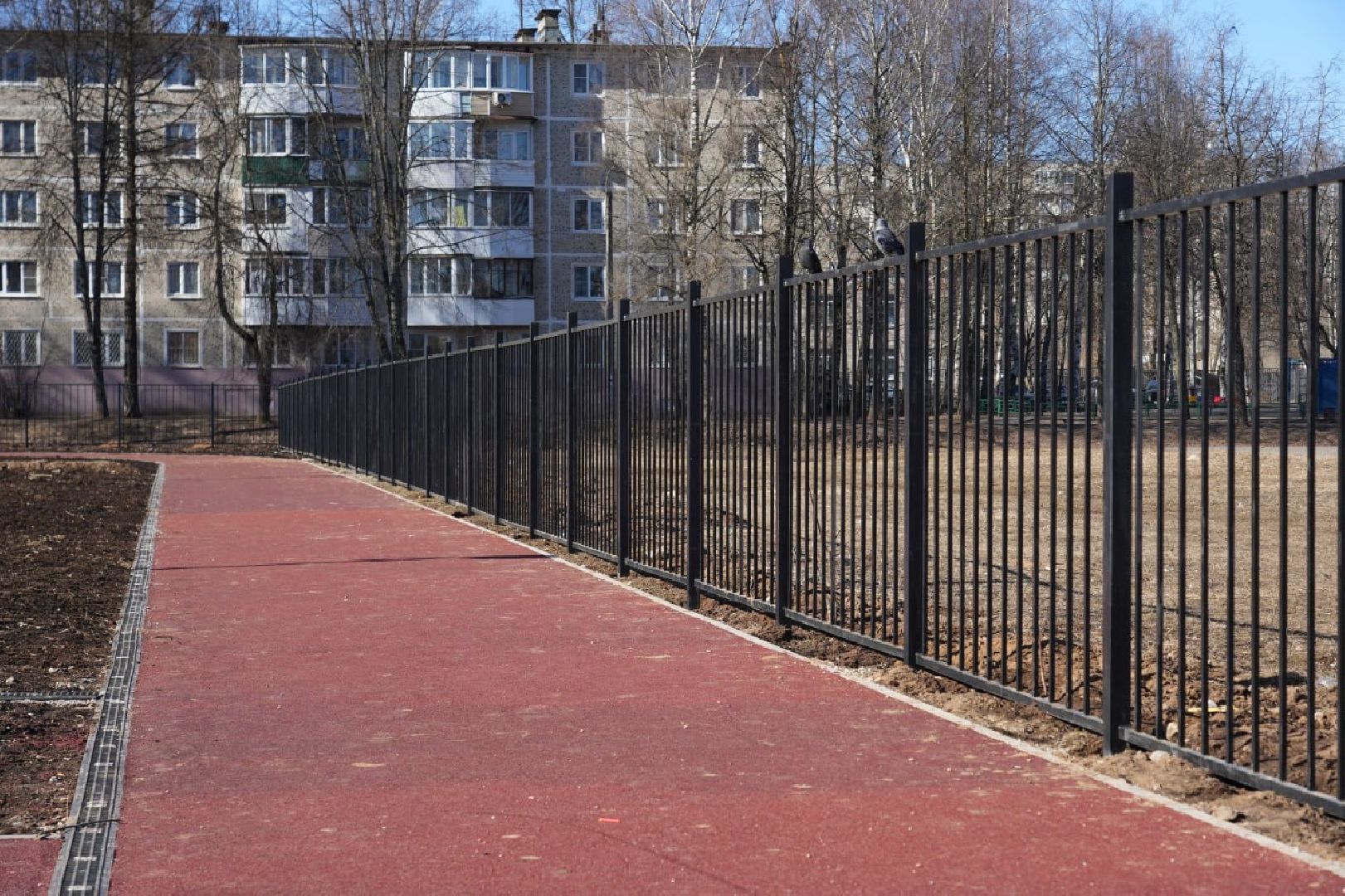 спорт, школа, образование, стадион, сергиев посад, сергиево-посадский городской округ,