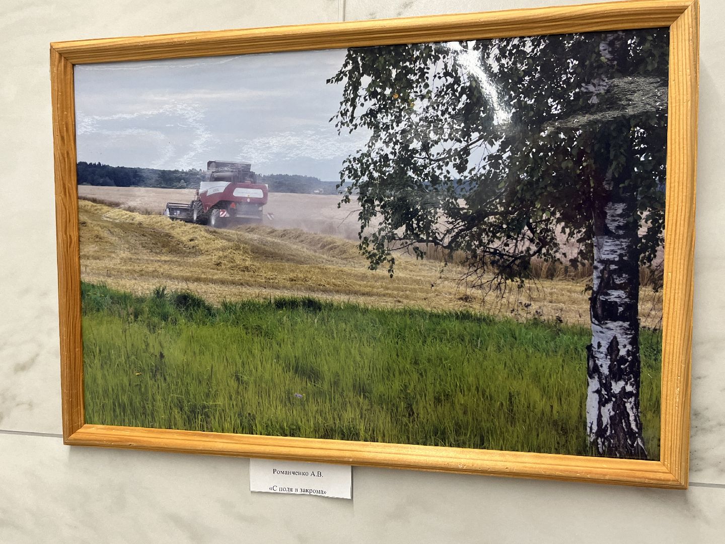 наро-фоминск, наро-фоминский городской округ, день труда московской области, фотовыставка,