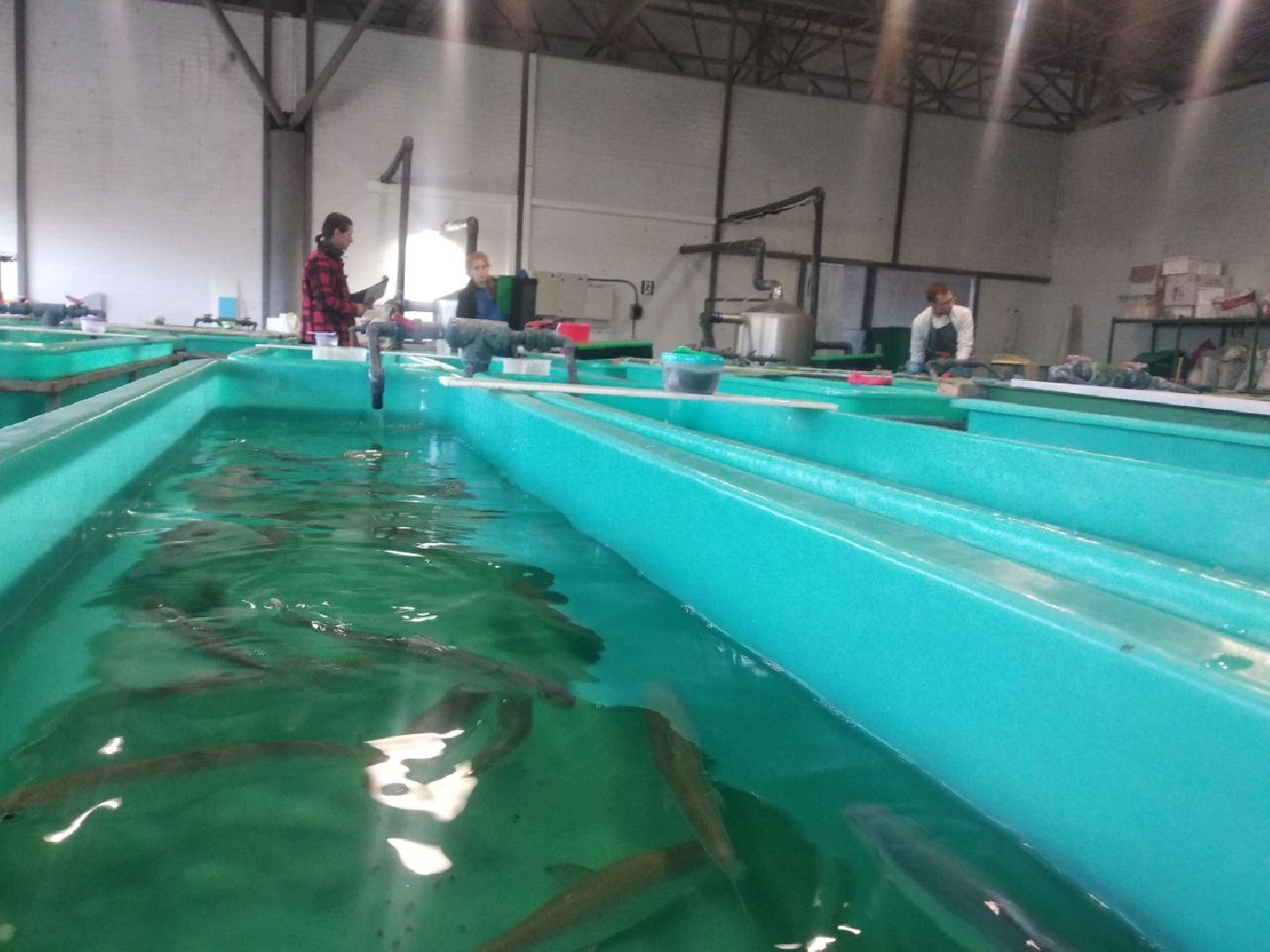 Дмитров, ДРТИ, ВНИИПРХ, ВНИРО