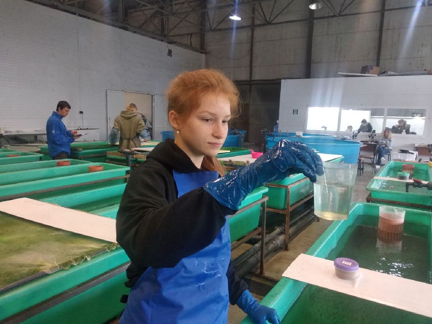 Дмитров, ДРТИ, ВНИИПРХ, ВНИРО