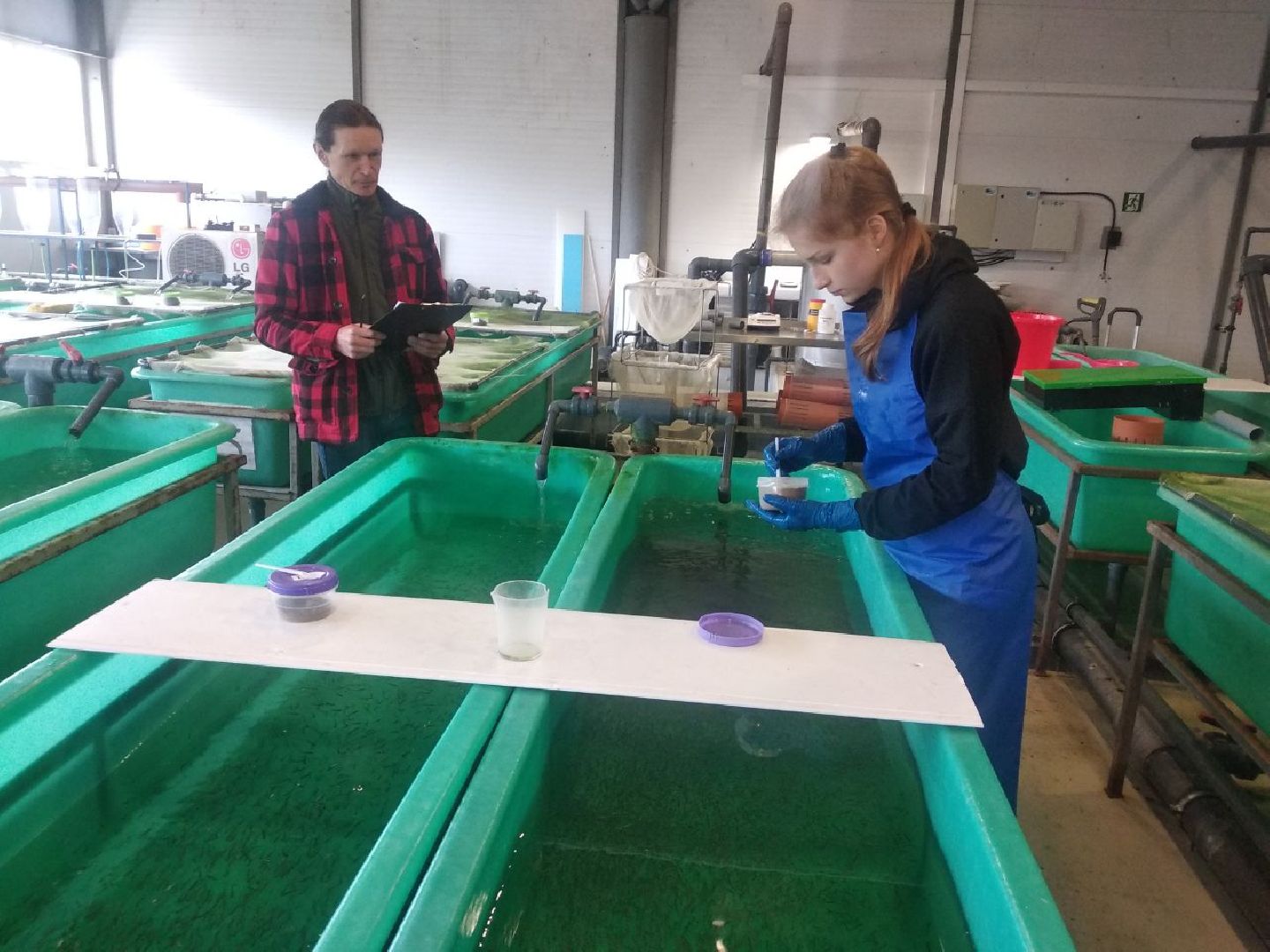 Дмитров, ДРТИ, ВНИИПРХ, ВНИРО