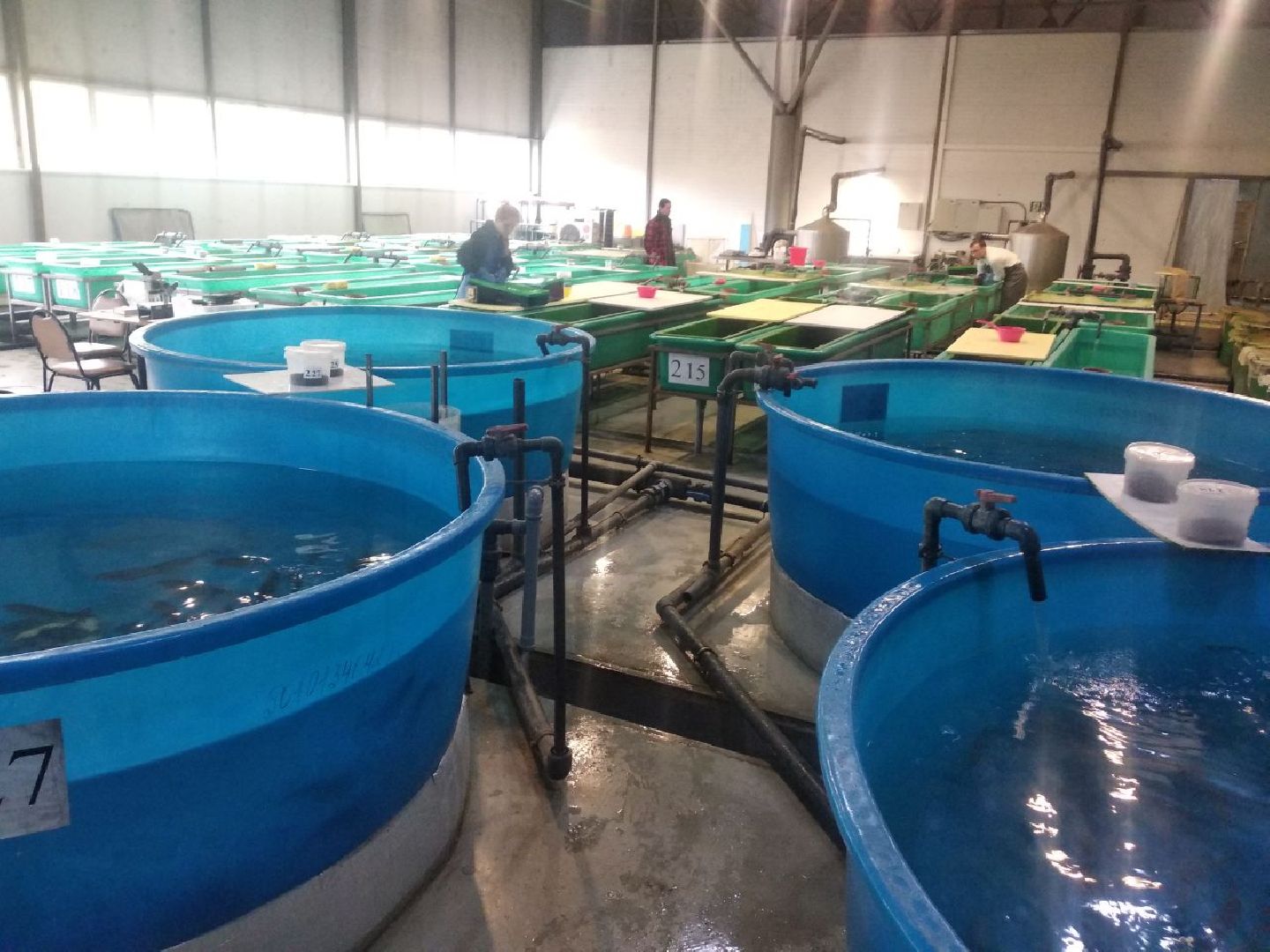 Дмитров, ДРТИ, ВНИИПРХ, ВНИРО