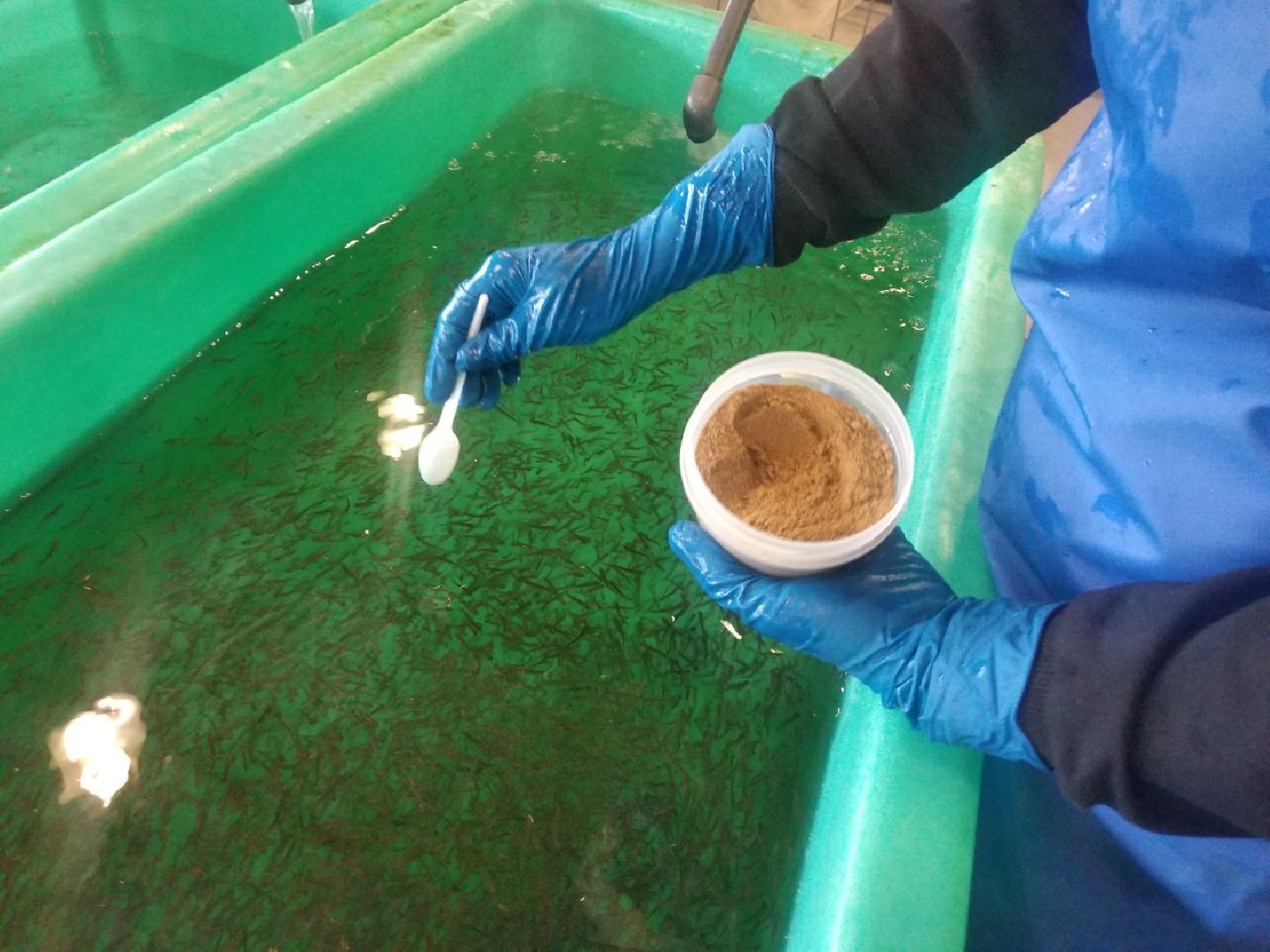 Дмитров, ДРТИ, ВНИИПРХ, ВНИРО