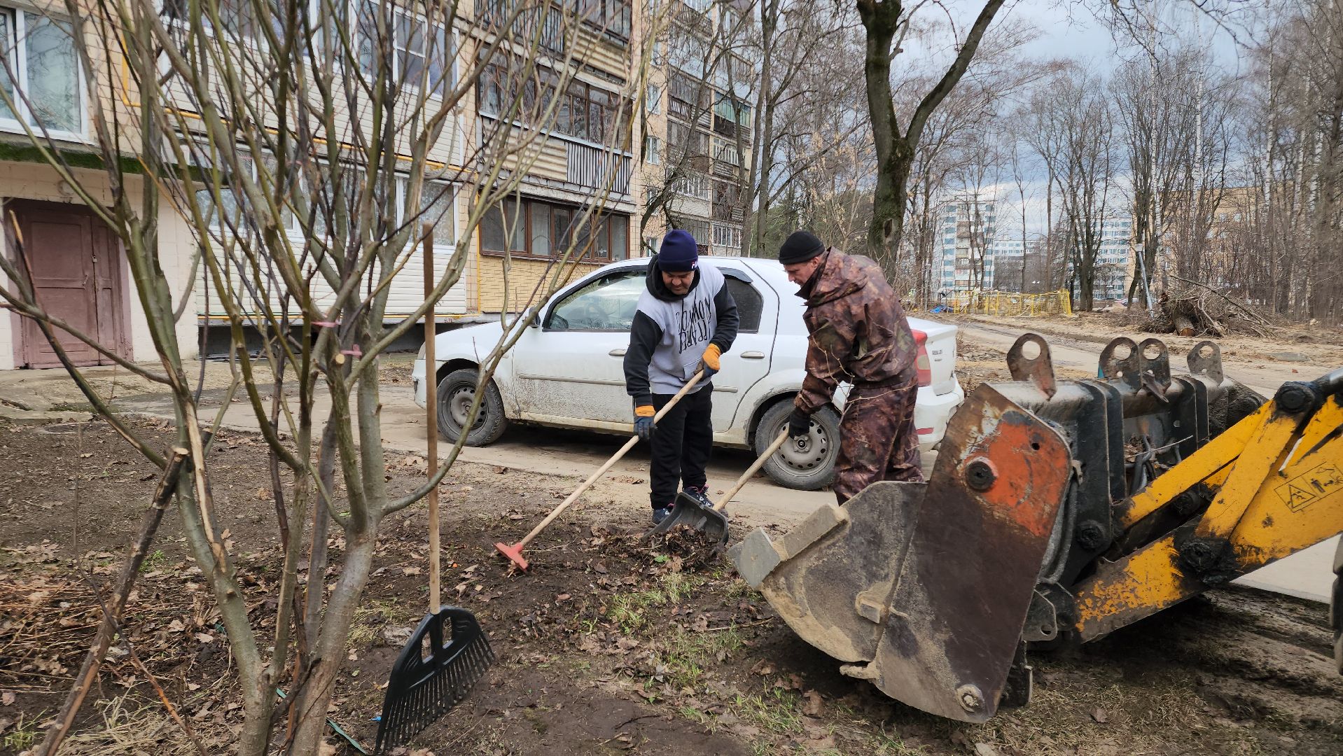 Черноголовка, Уборка листвы, Жкх,