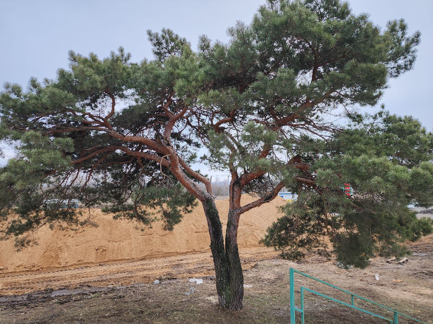 серпухов, подмосковье, лавриненко, танк, памятник, великая отечественная война,