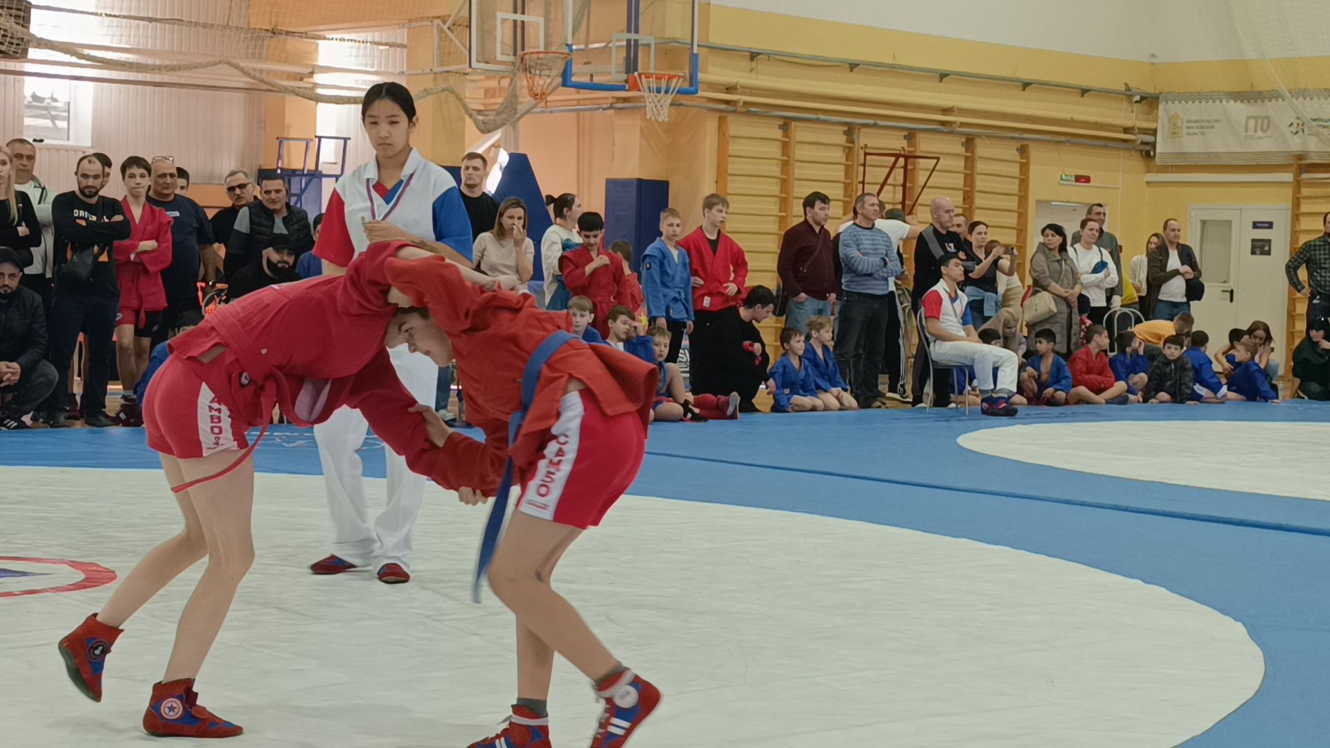 самбо, спорт, лобня,