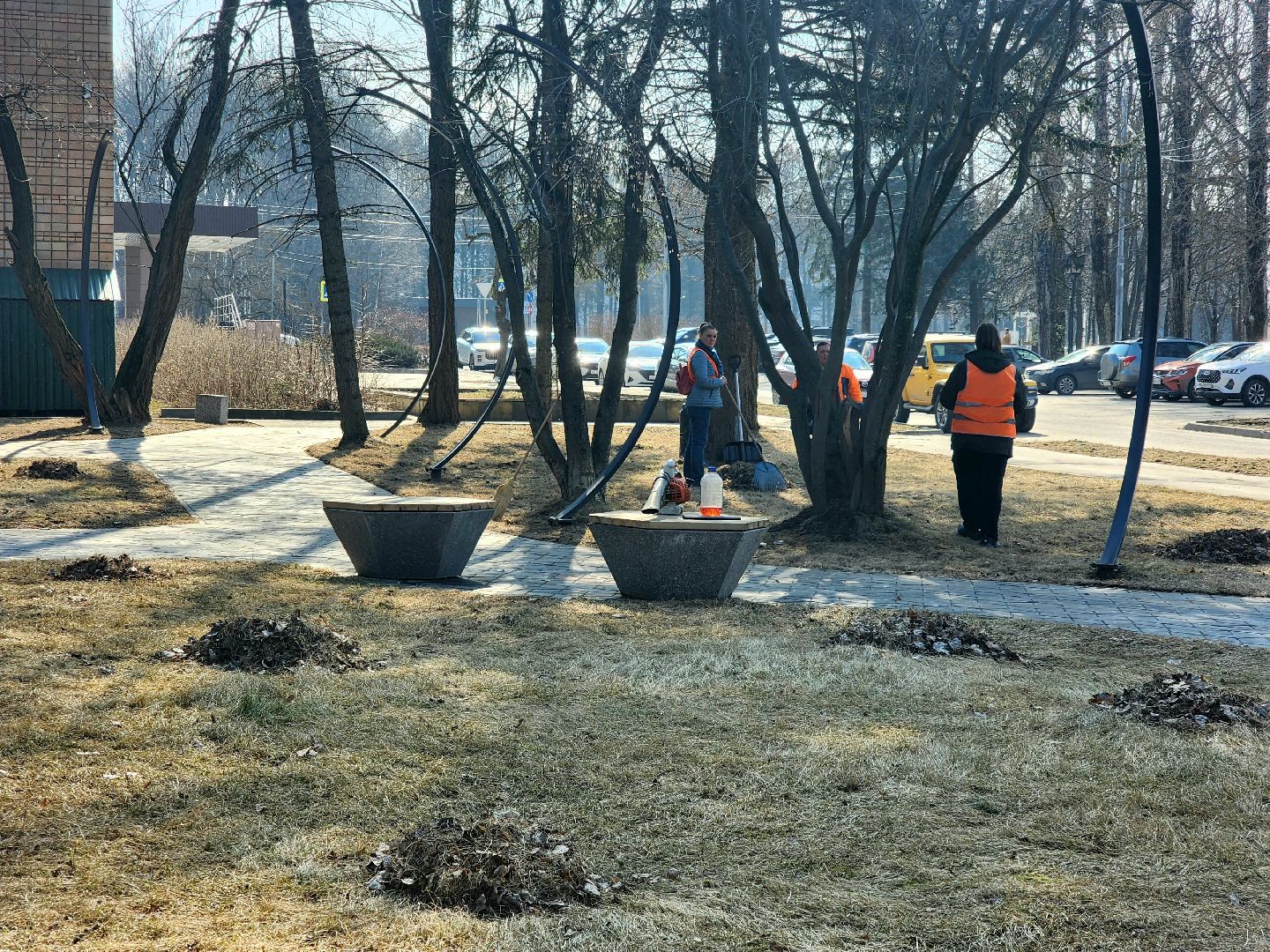 пущино, серпухов, весенняя уборка, вертикалки,