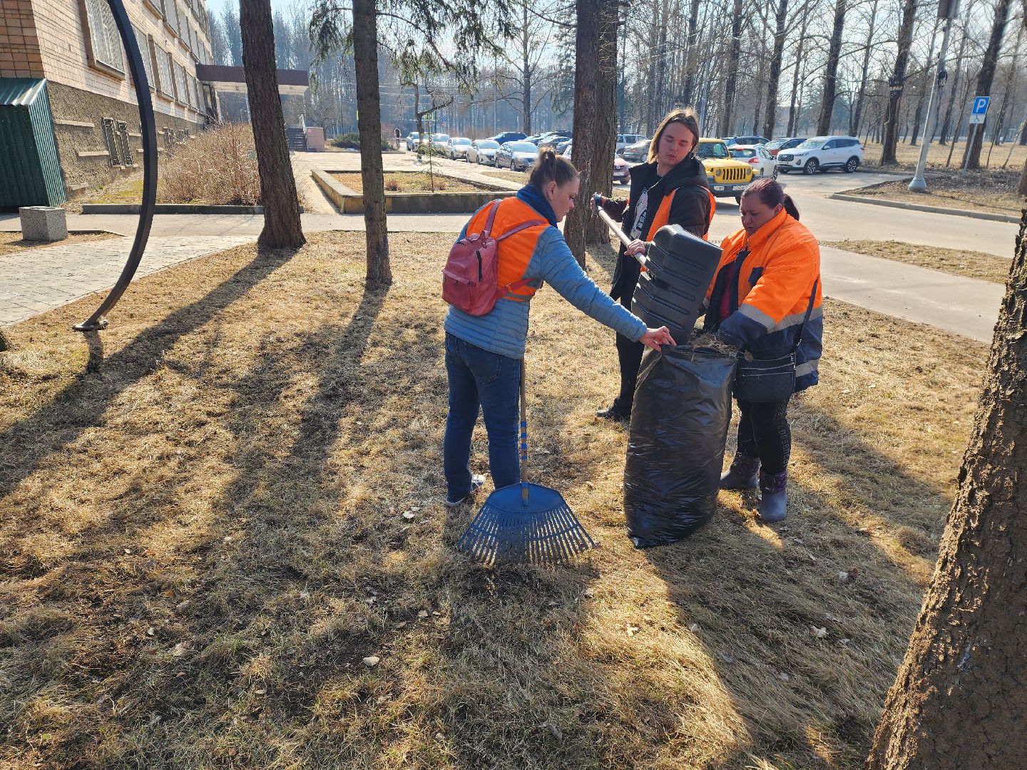 пущино, серпухов, весенняя уборка, вертикалки,