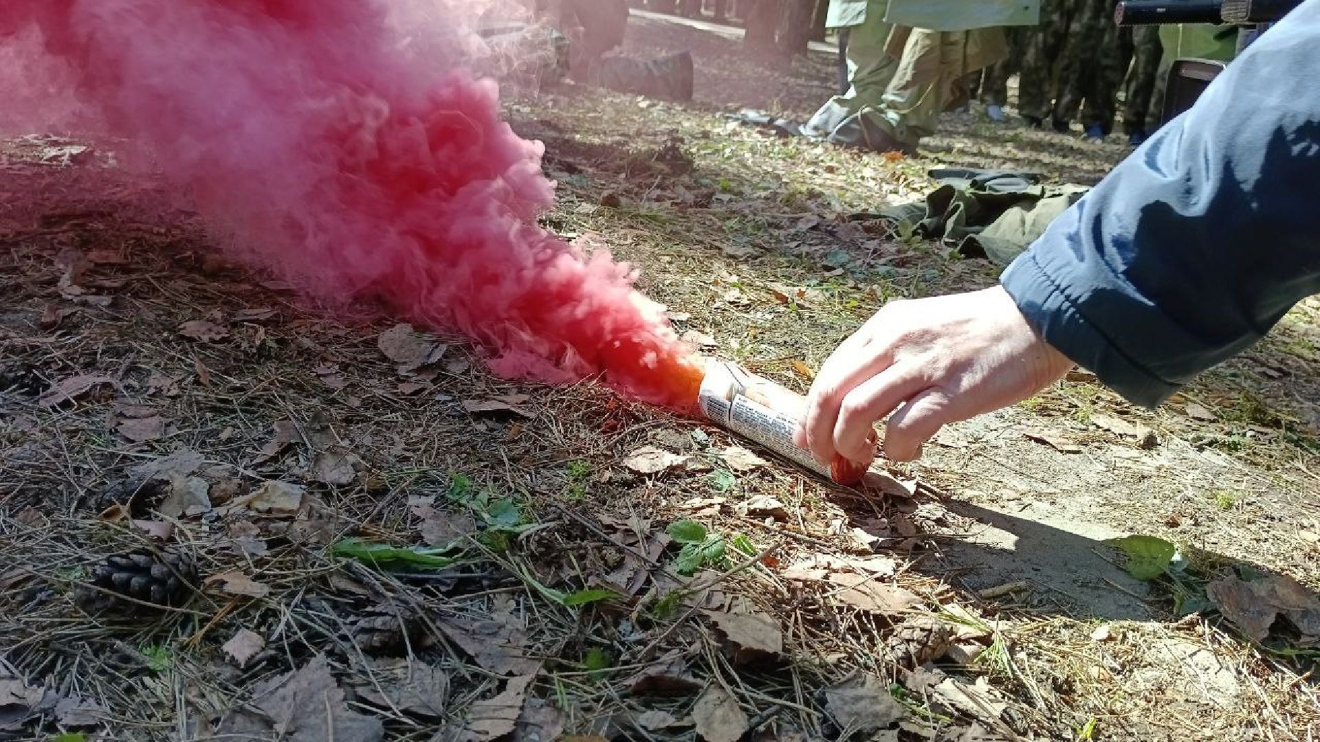 соревнования, Домодедово