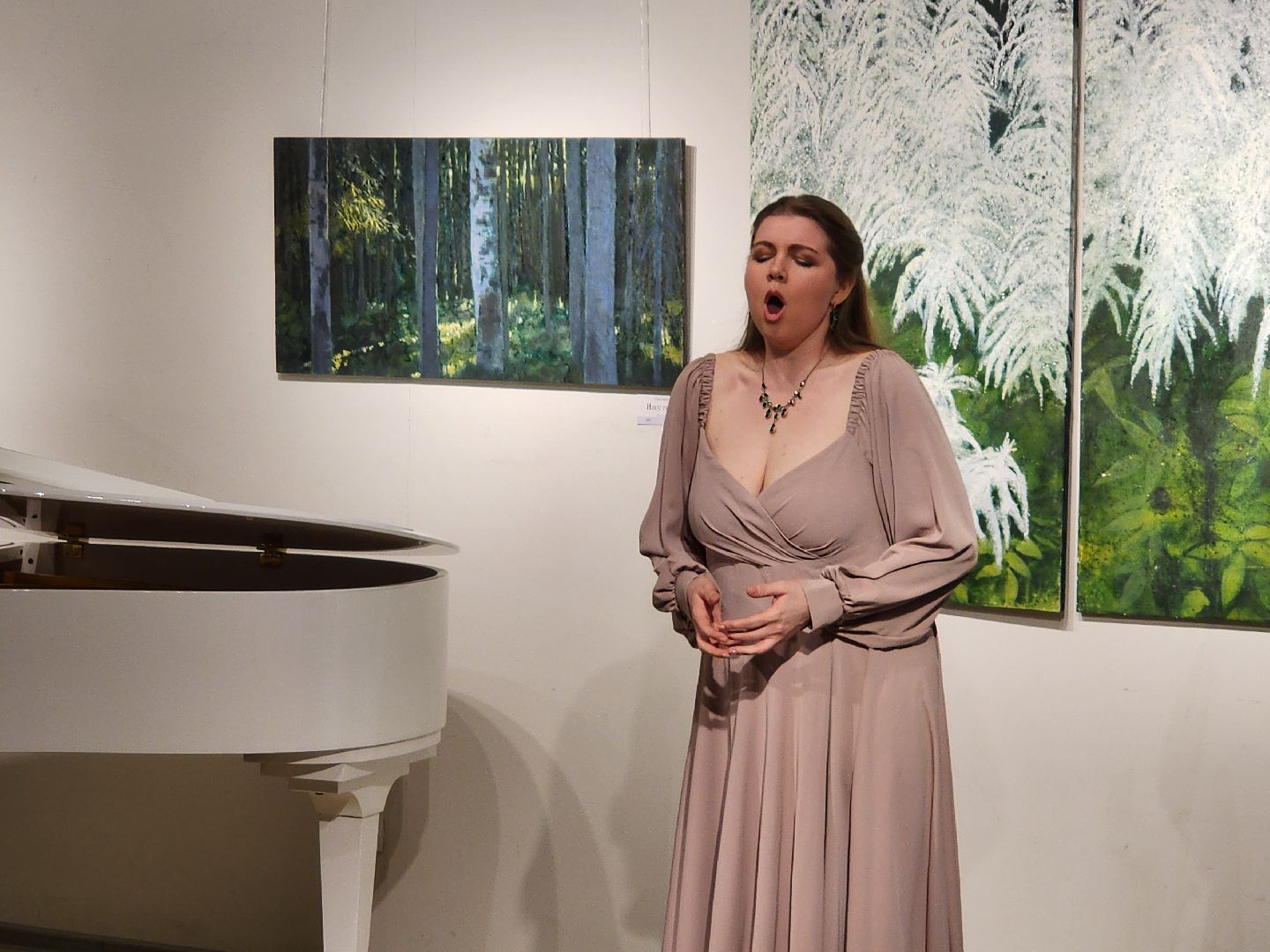 концерт классической музыки, мытищи, мытищинская галерея искусств,