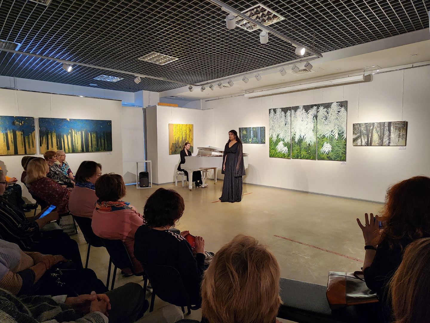 концерт классической музыки, мытищи, мытищинская галерея искусств,