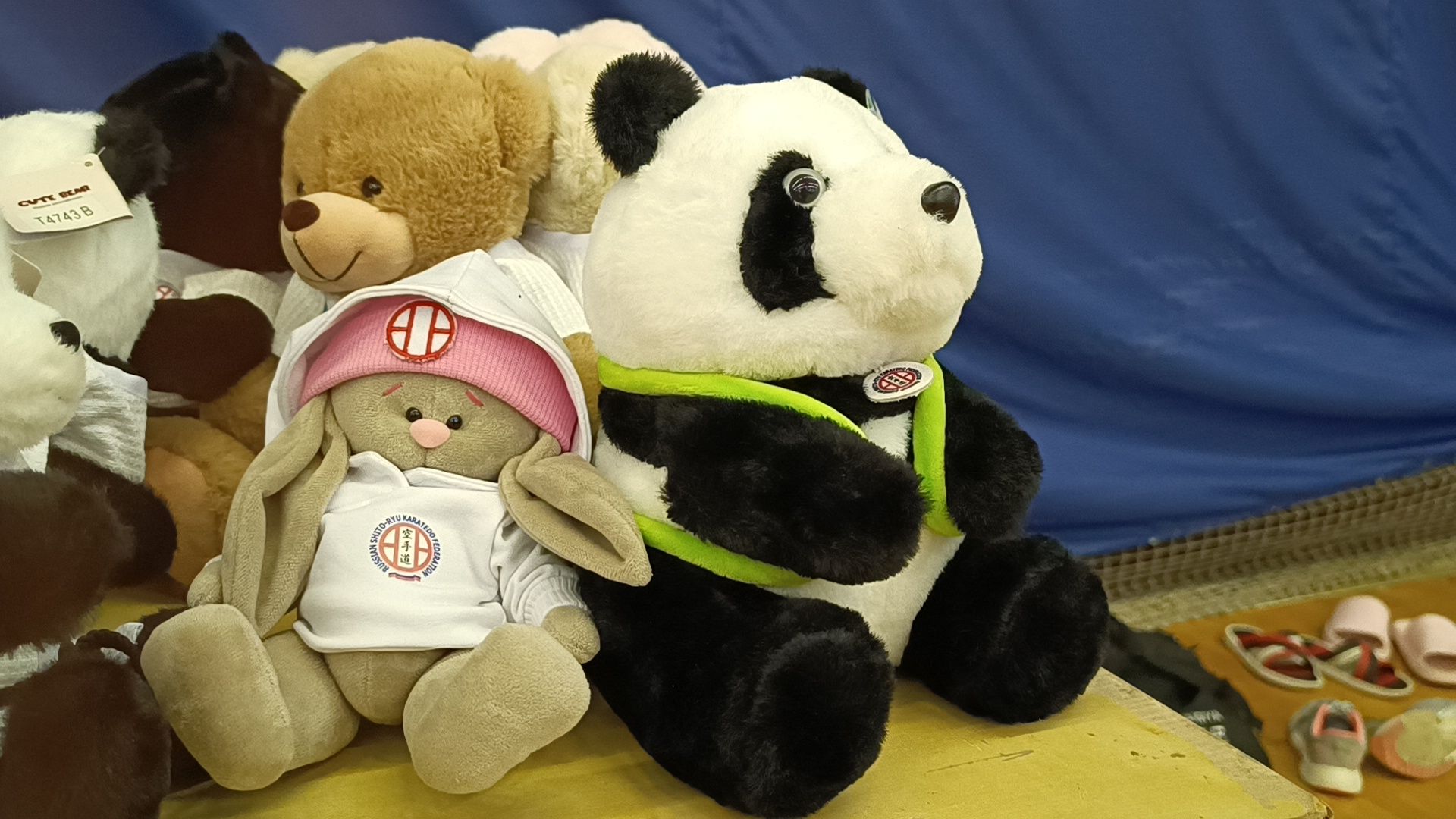 спорт, карате, лобня,