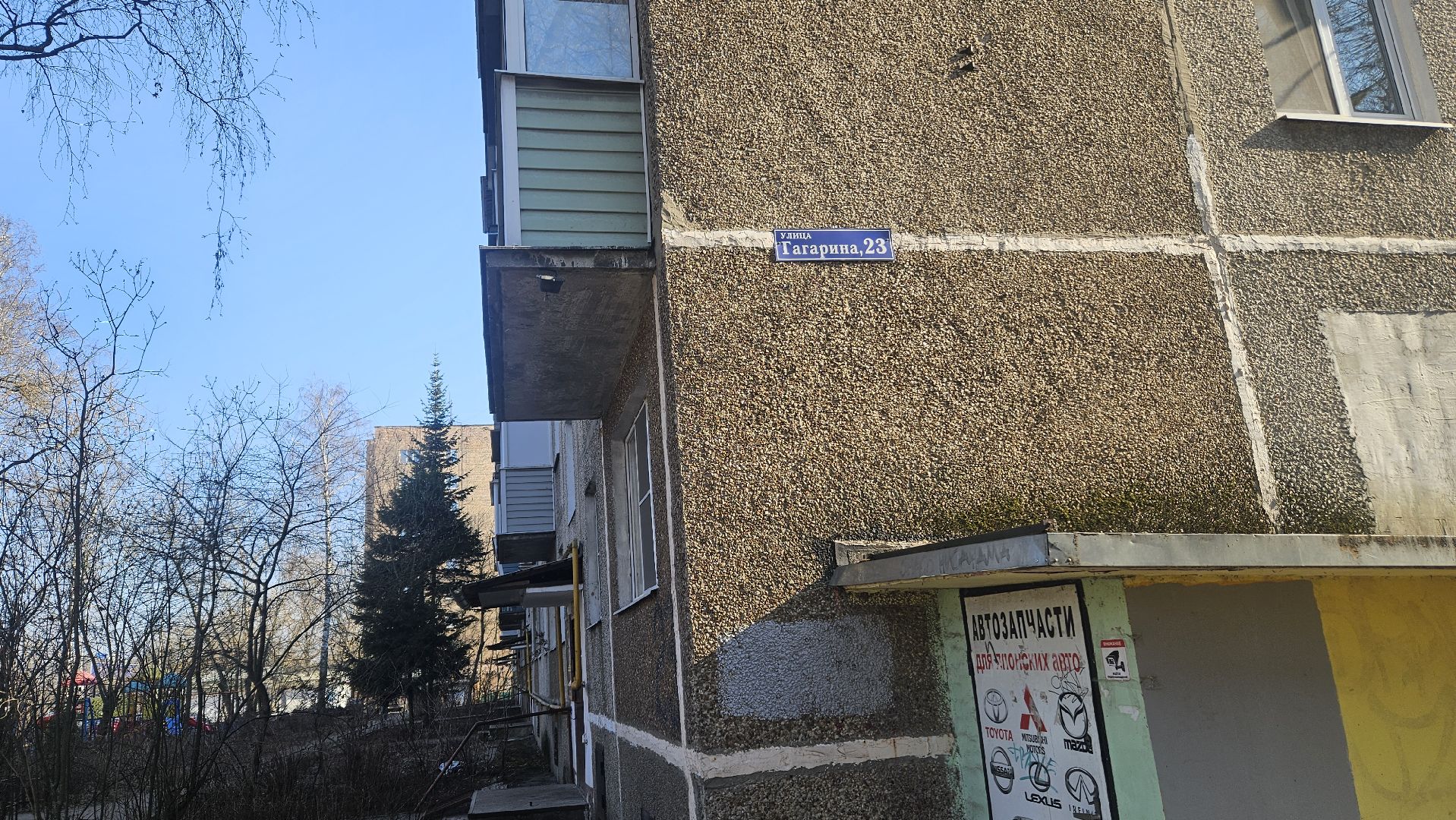 деревья, выездная администрация, жуковский,