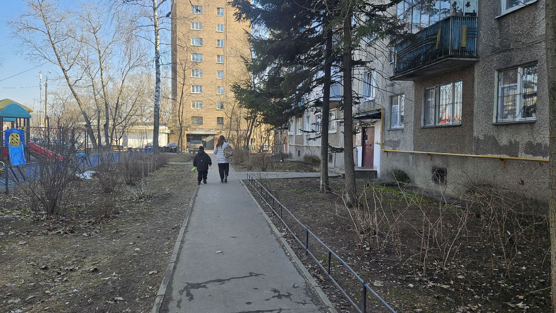 деревья, выездная администрация, жуковский,