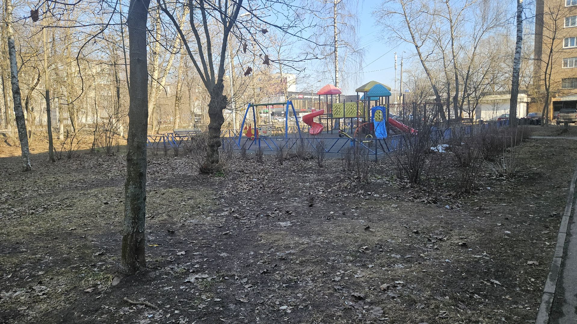 деревья, выездная администрация, жуковский,