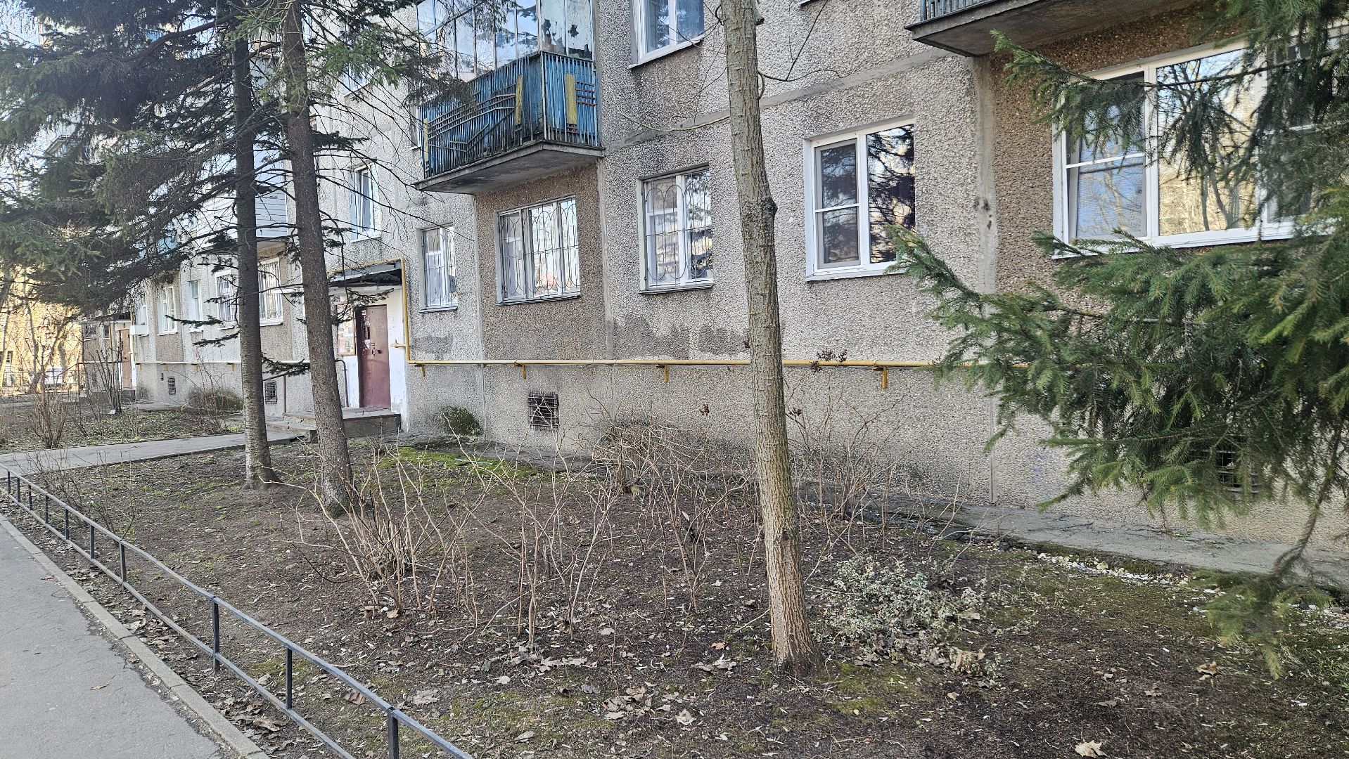 деревья, выездная администрация, жуковский,