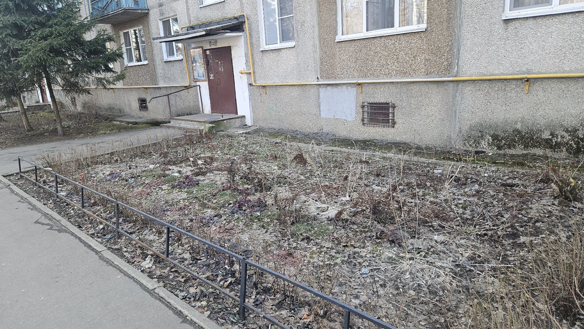 деревья, выездная администрация, жуковский,