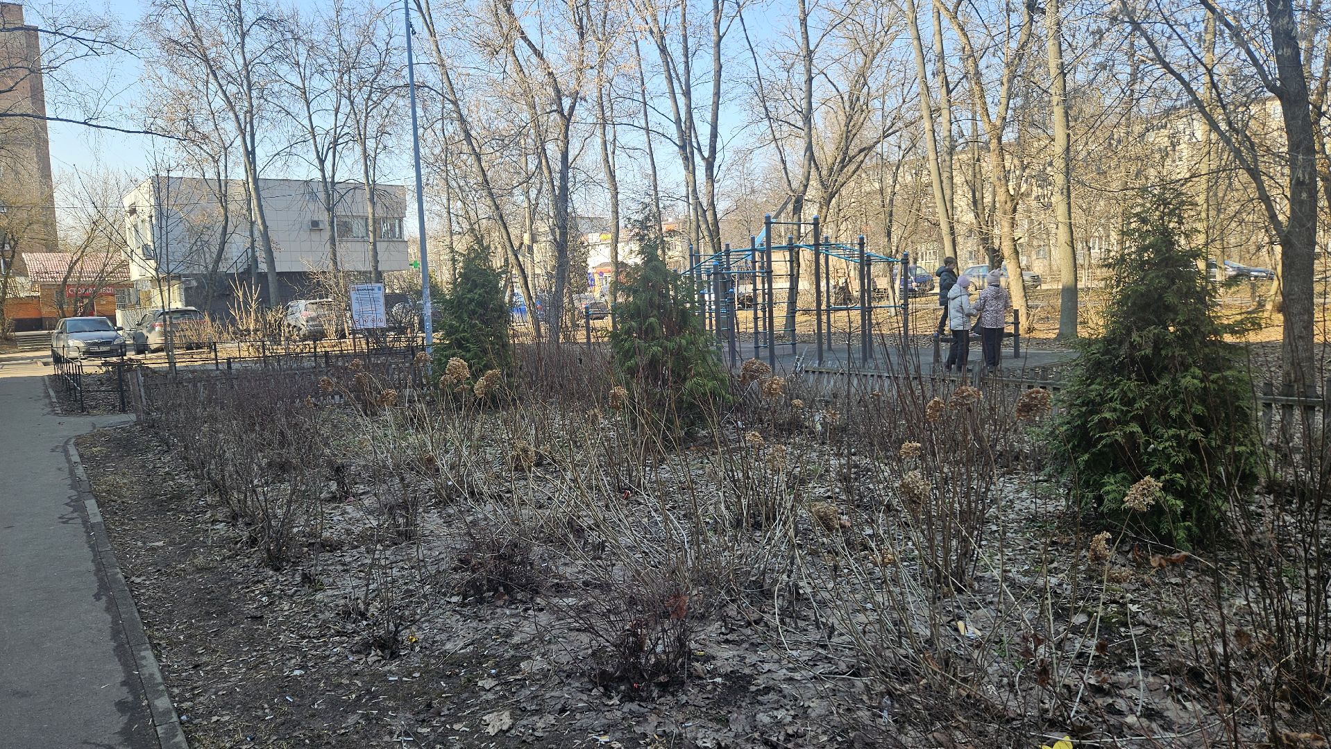 деревья, выездная администрация, жуковский,