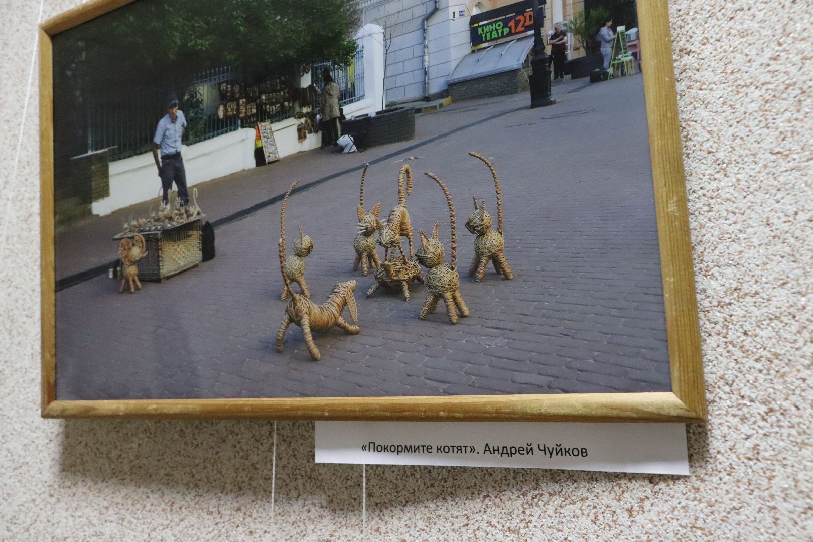 серебряные пруды, культура, центральная библиотека серебряных прудов, фотовыставка, уличная мозаика,