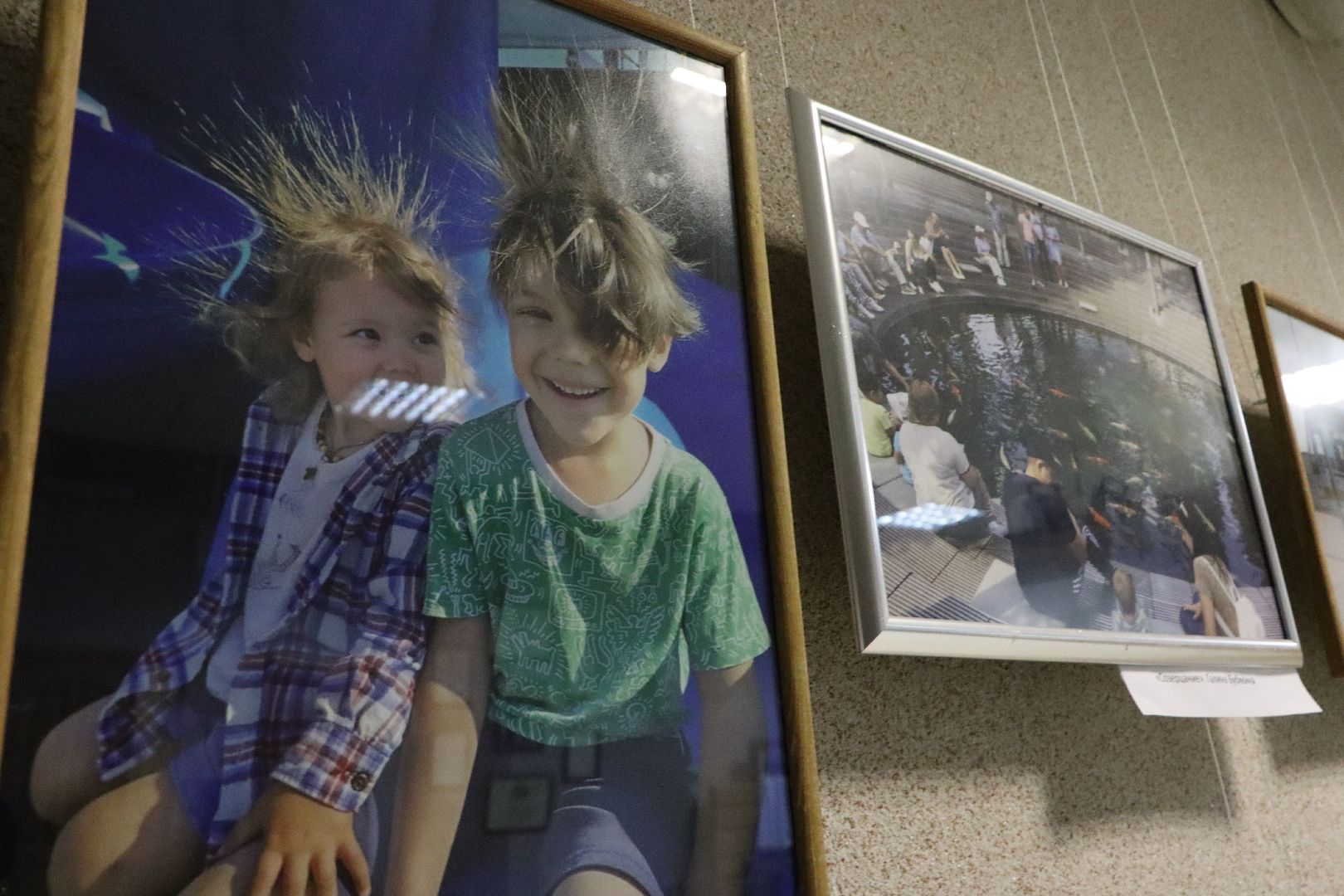 серебряные пруды, культура, центральная библиотека серебряных прудов, фотовыставка, уличная мозаика,