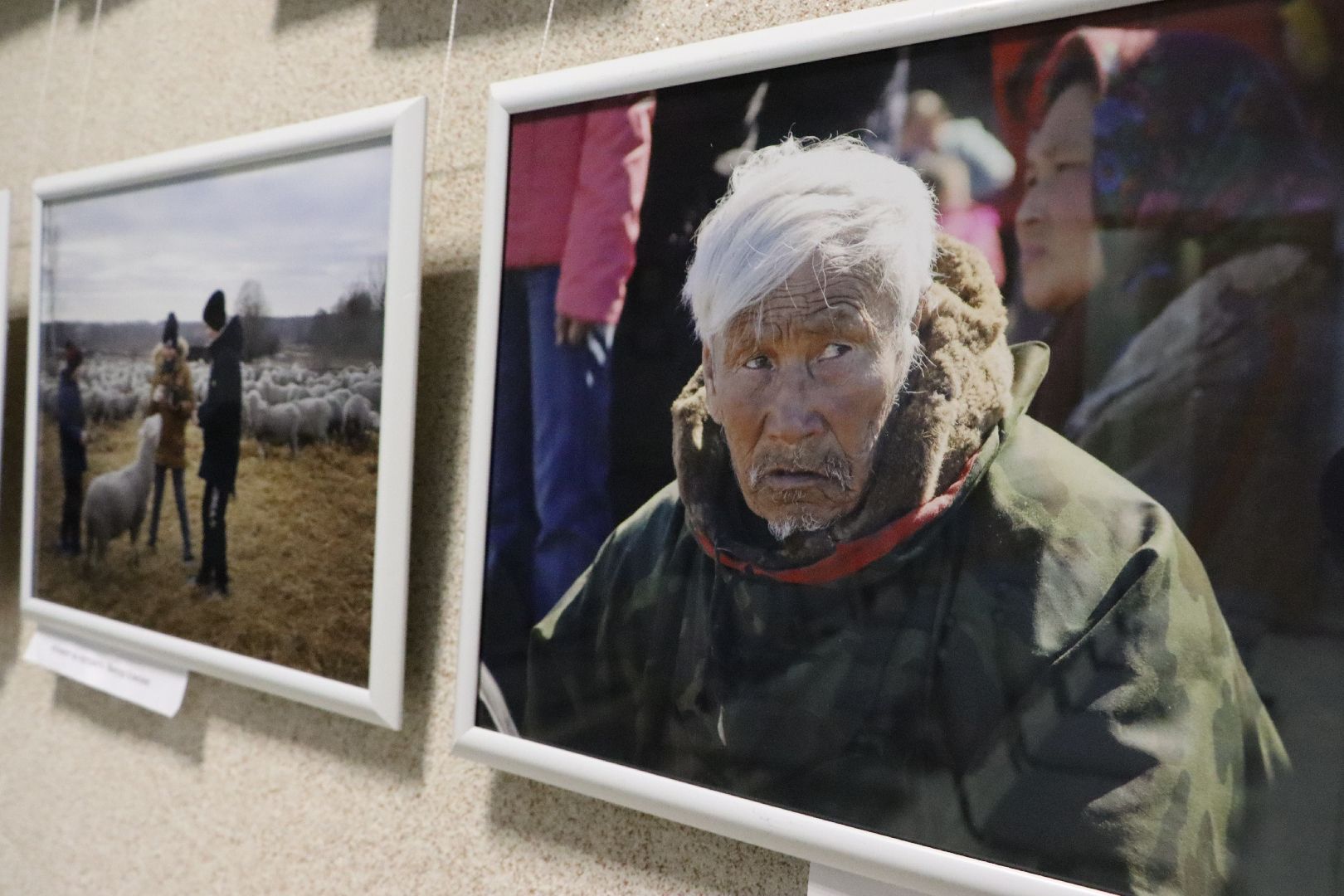 серебряные пруды, культура, центральная библиотека серебряных прудов, фотовыставка, уличная мозаика,