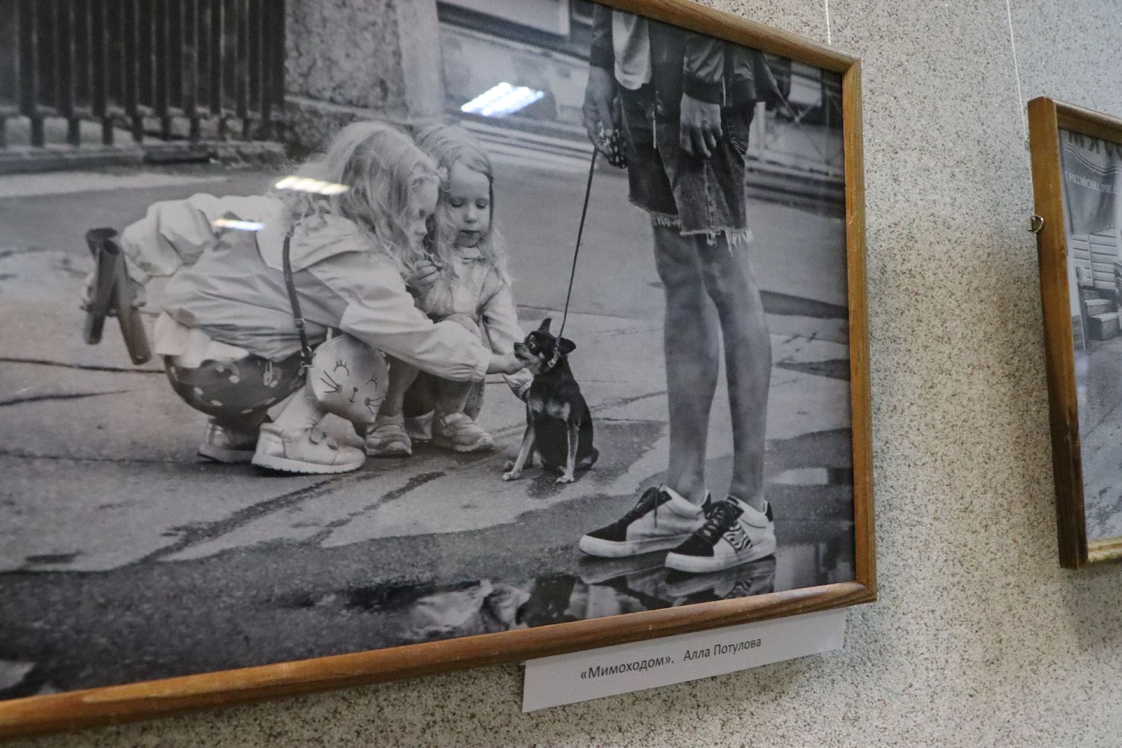 серебряные пруды, культура, центральная библиотека серебряных прудов, фотовыставка, уличная мозаика,