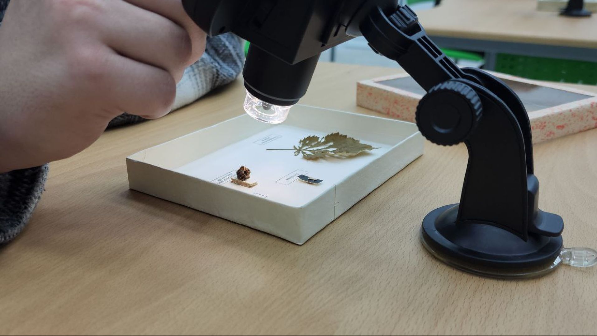 Луховицы, аграрный техникум,