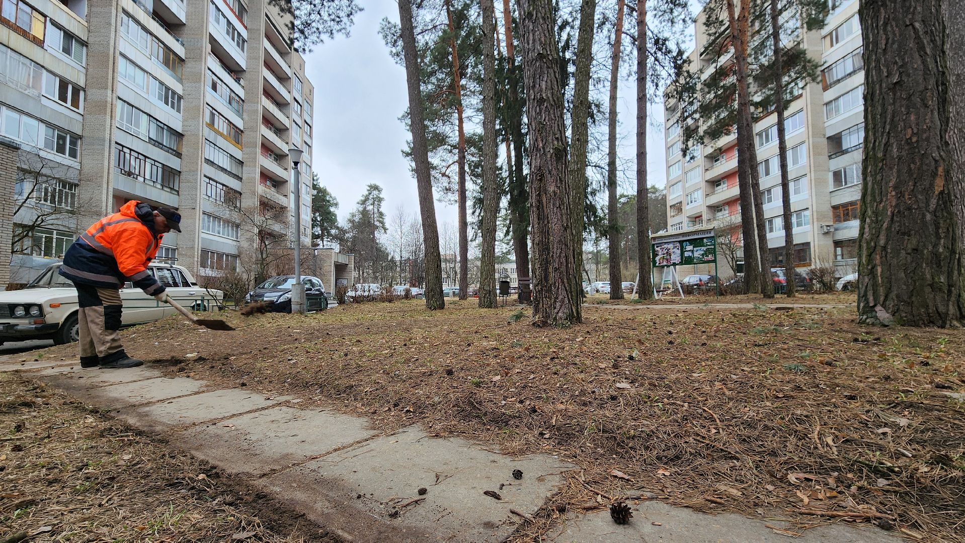 протвино, месяц благоустройства, уборка дворов,