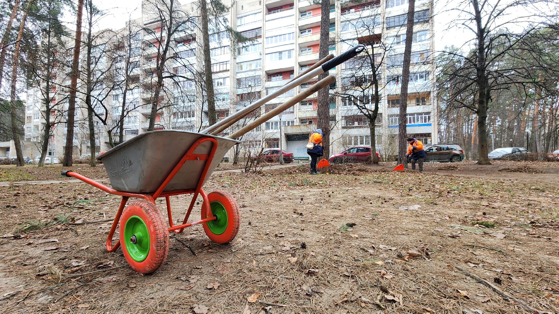 протвино, месяц благоустройства, уборка дворов,