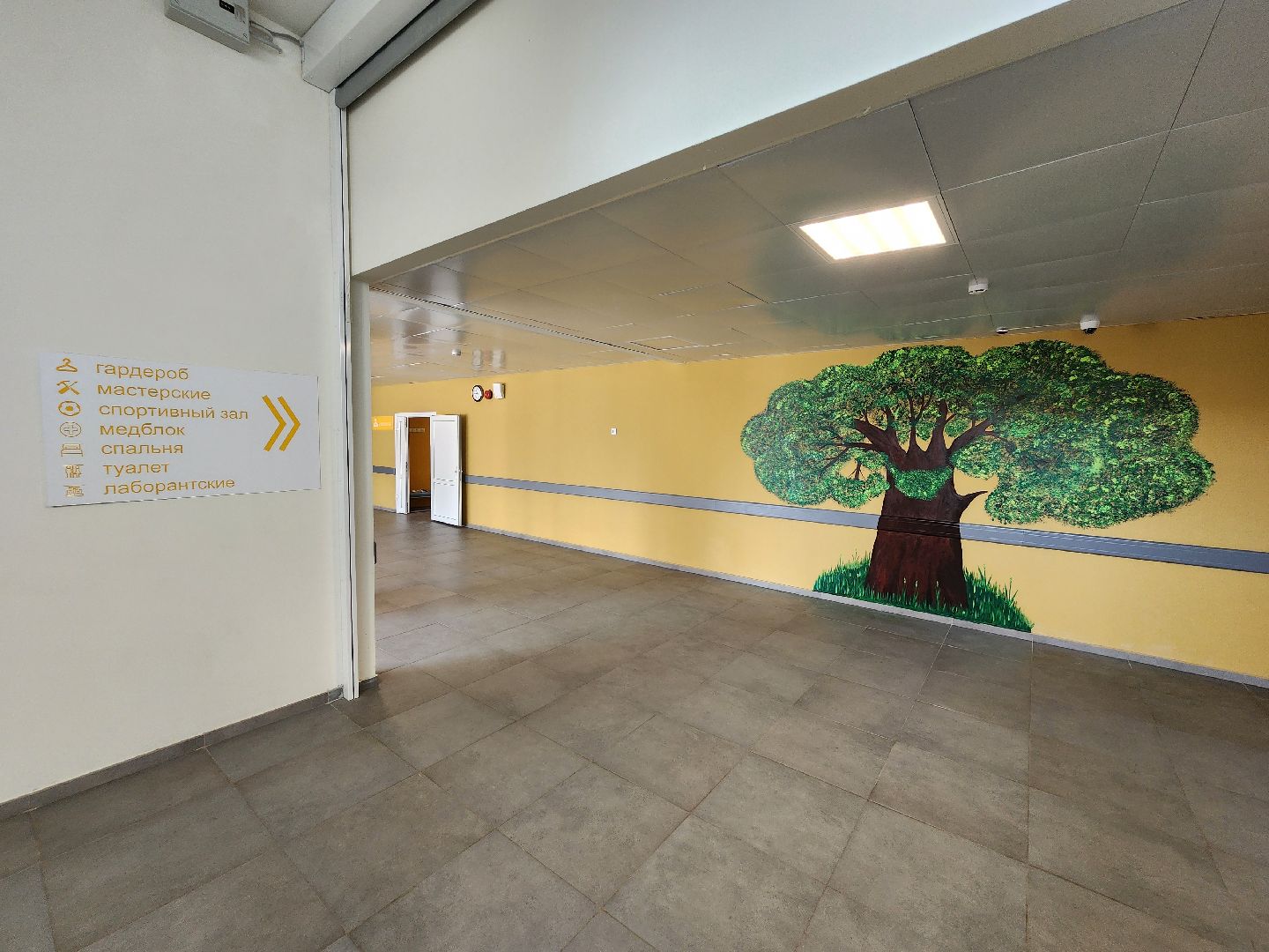 чехов, гимназия 7, молодые учителя, педагогический дебют,