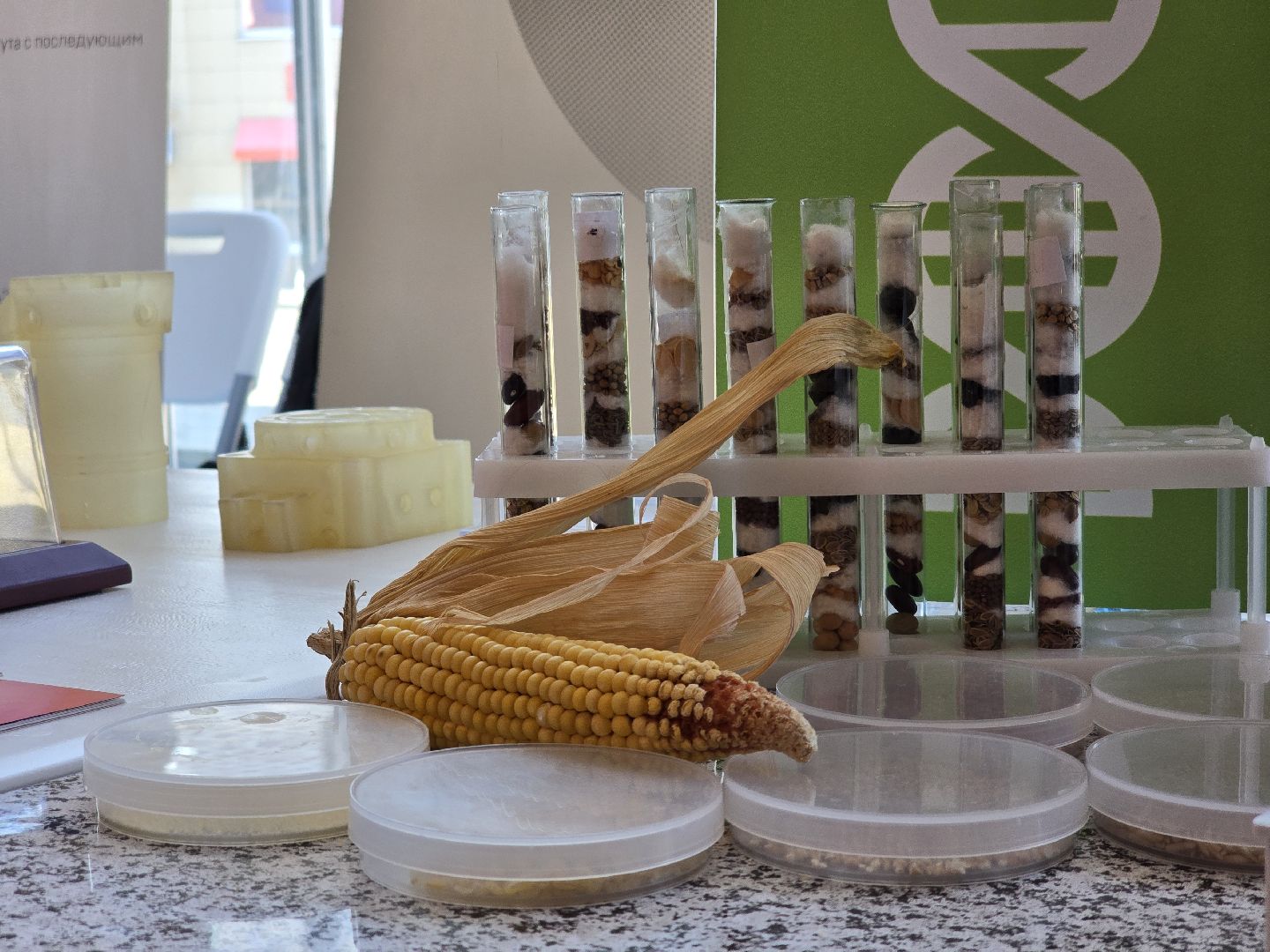 Коломна, профориентация,