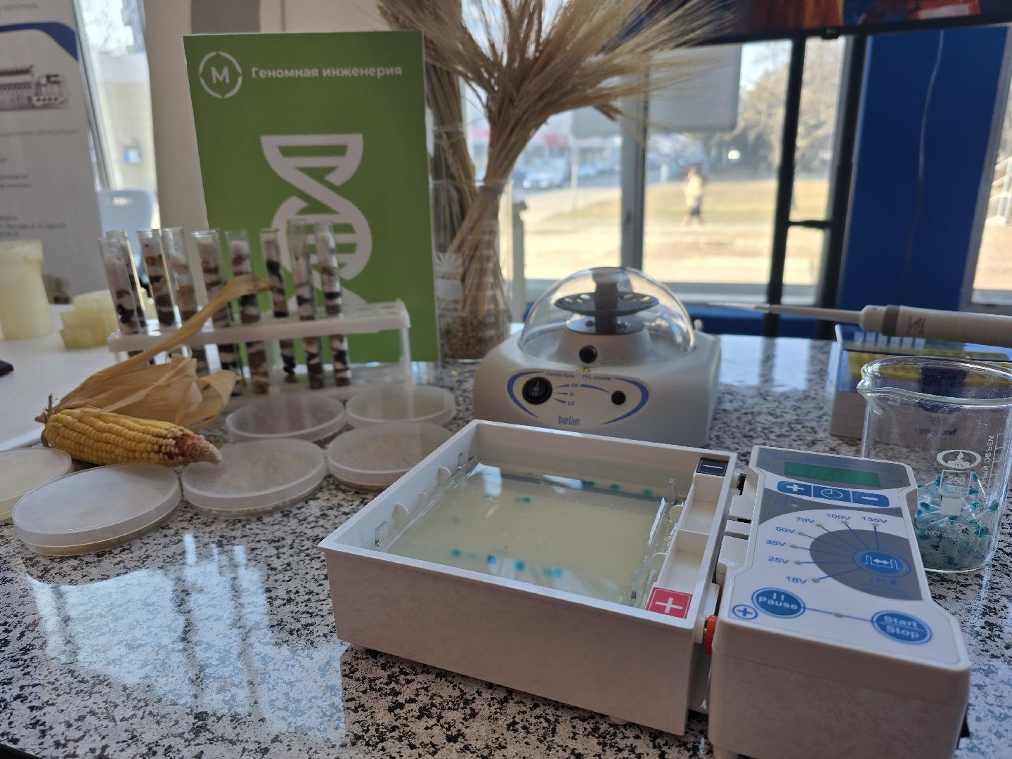 Коломна, профориентация,