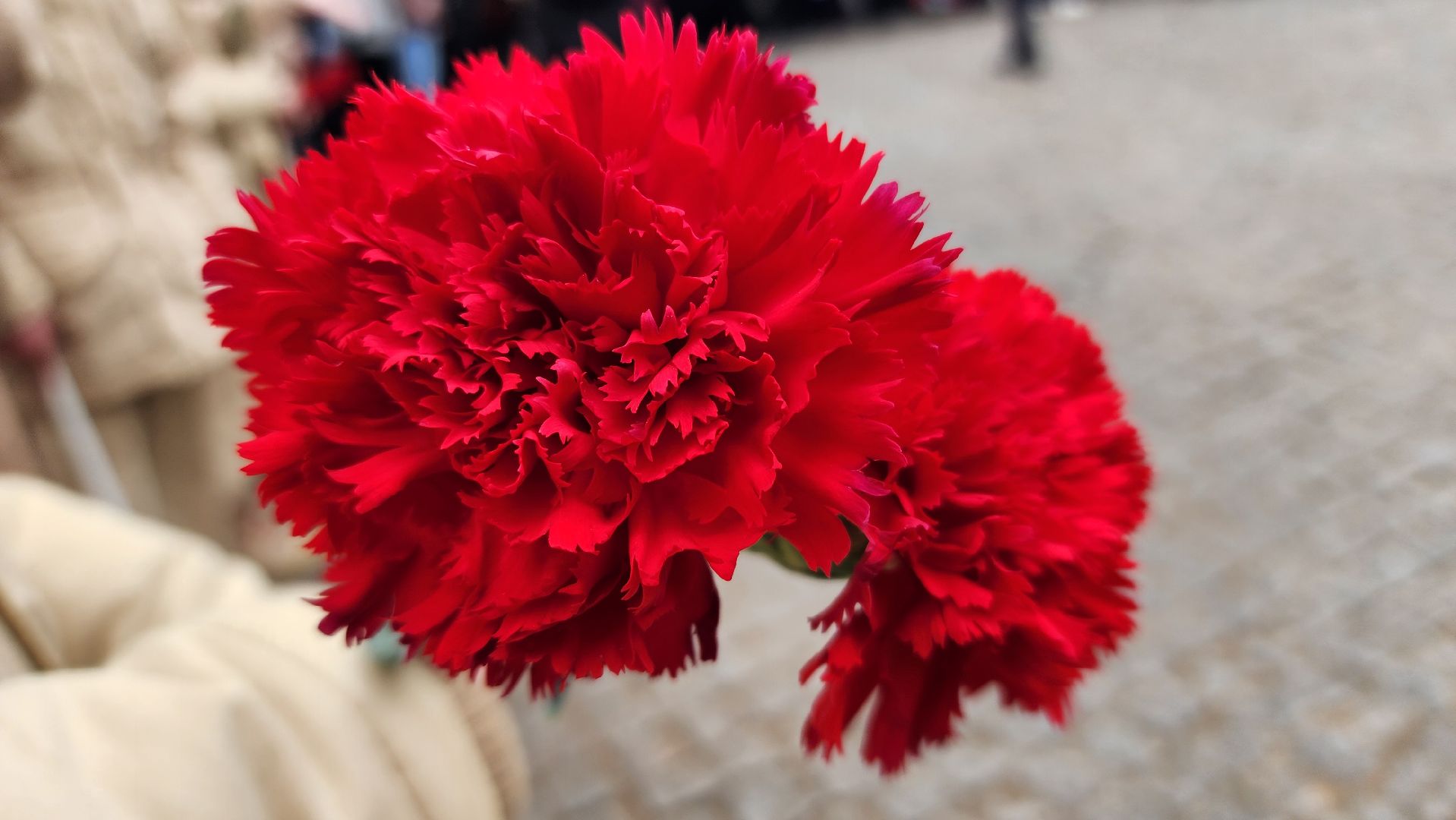 волоколамск, город воинской славы, памятная дата,