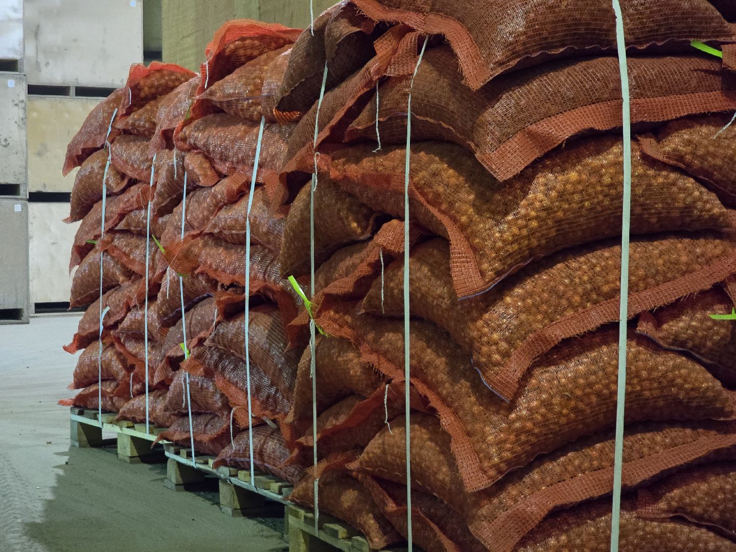 Коломна, Озеры, лук-севок, сельскохозяйственное предприятие,