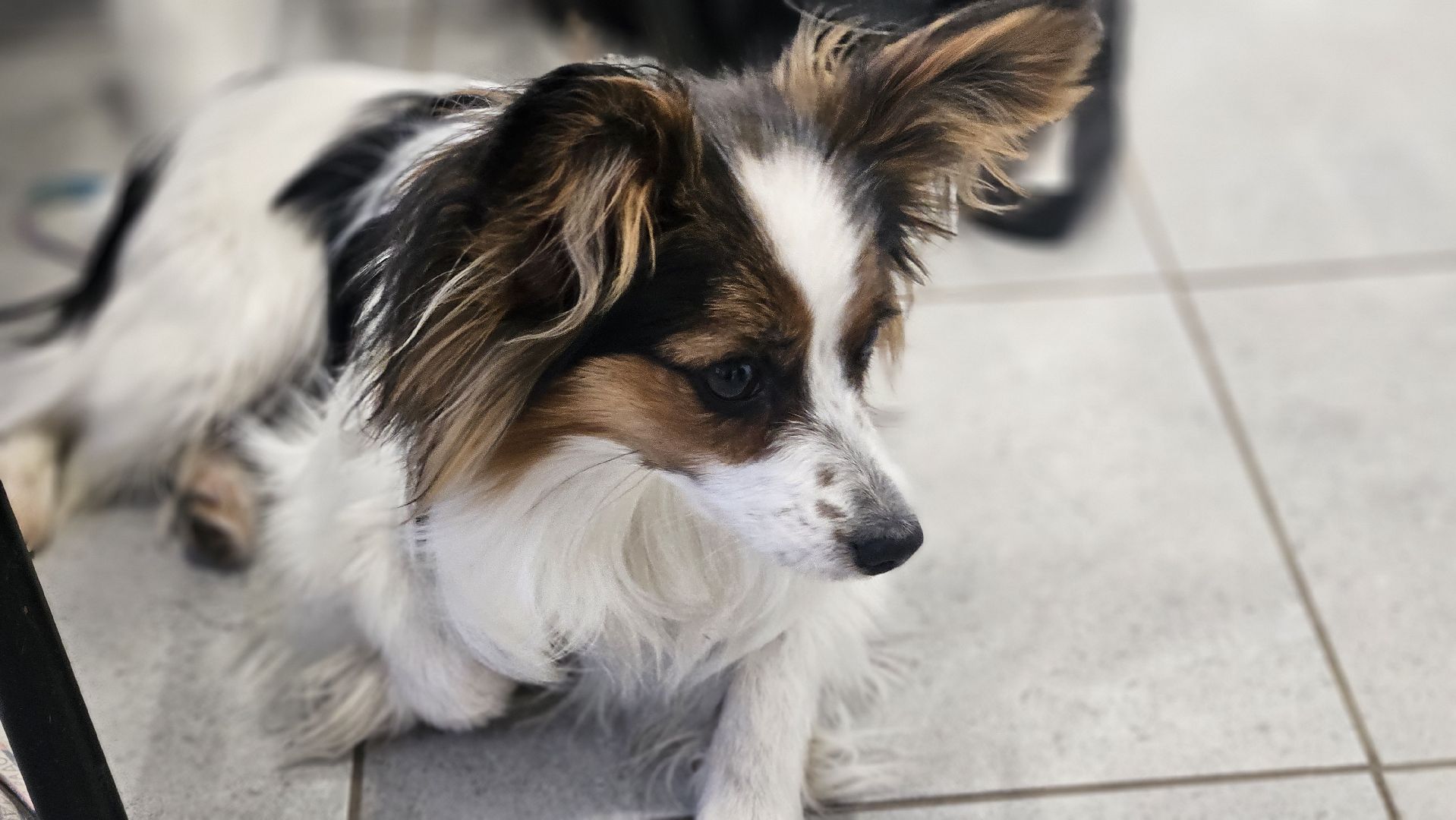 творчество, парк, жуковский,