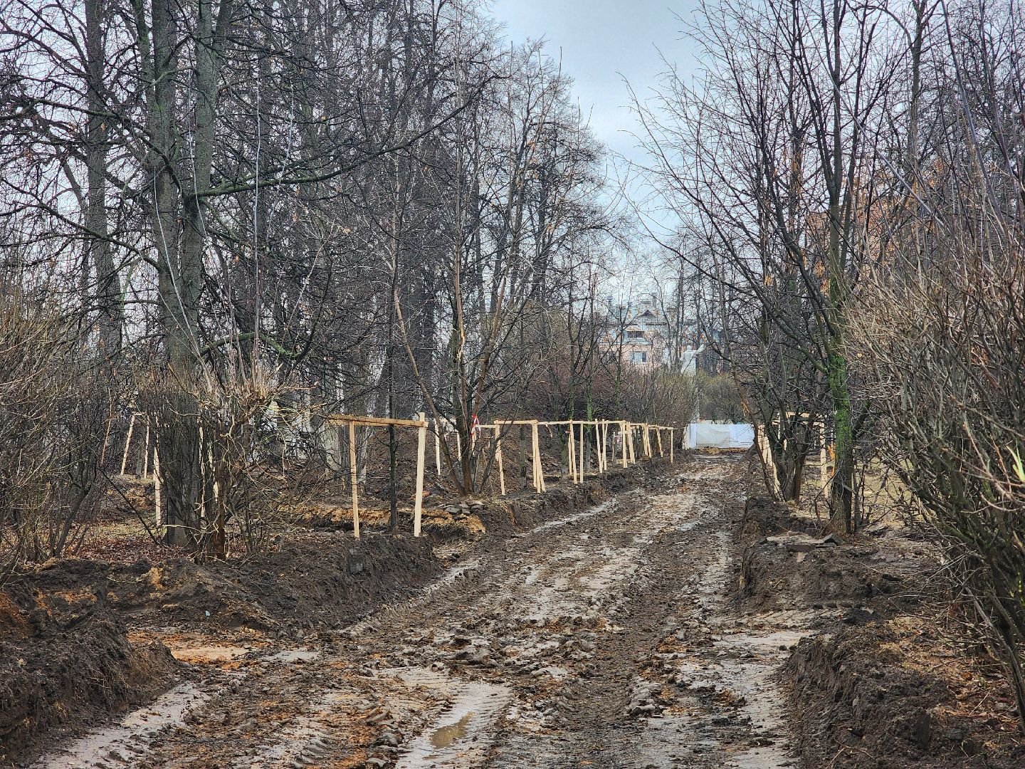 вертикалки, королёв, парк, комфорт,